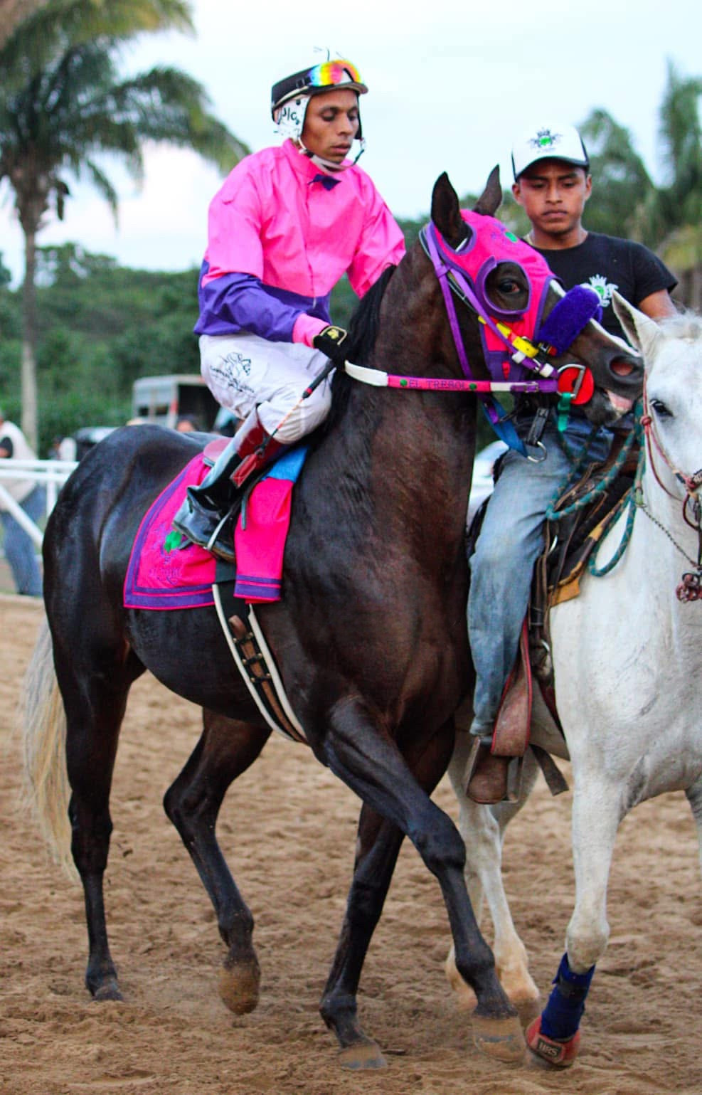 HIPICO EL TREBOL's image