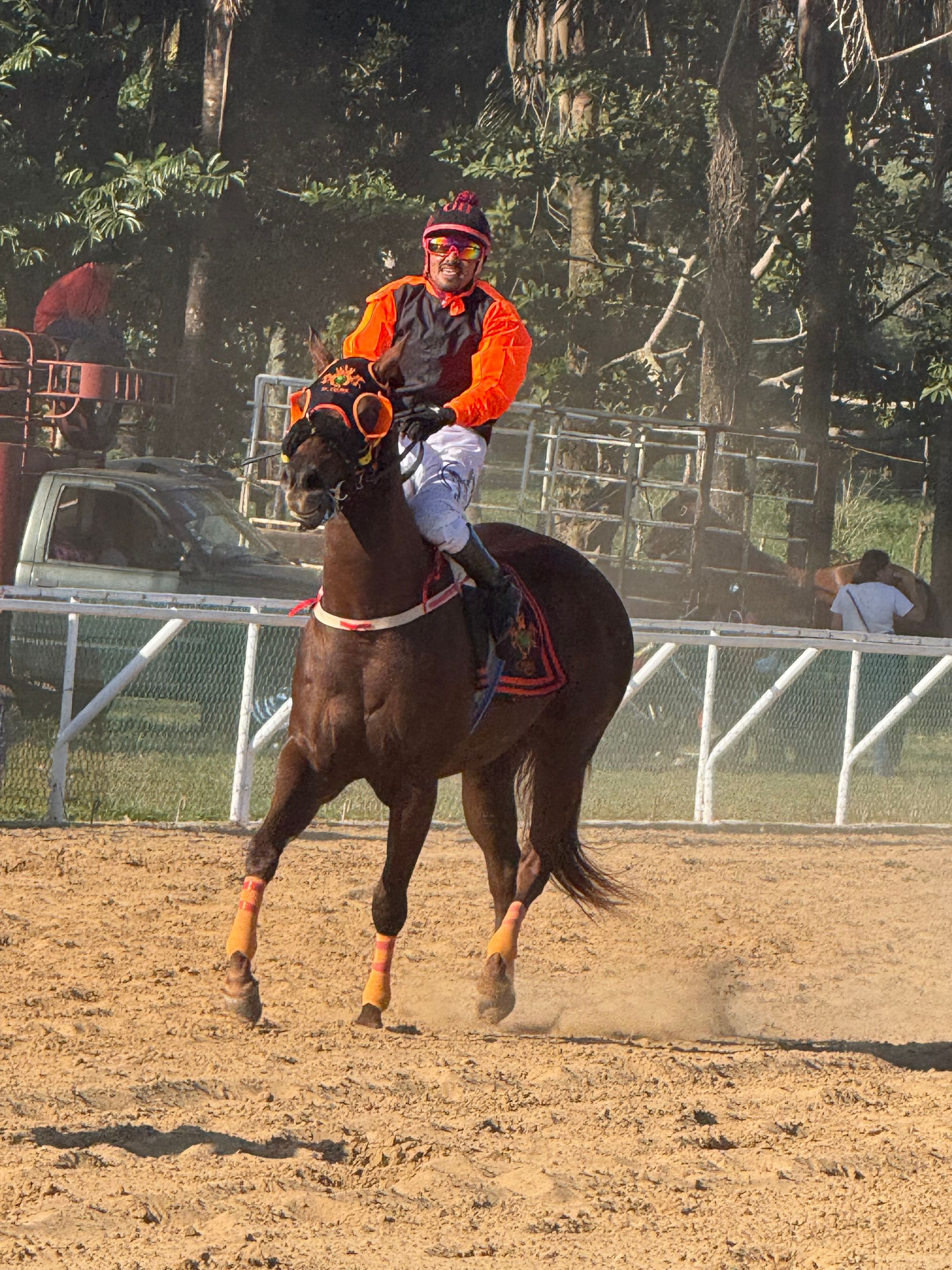 HIPICO EL TREBOL's image