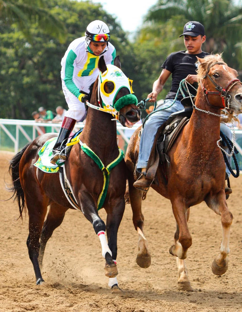 HIPICO EL TREBOL's image