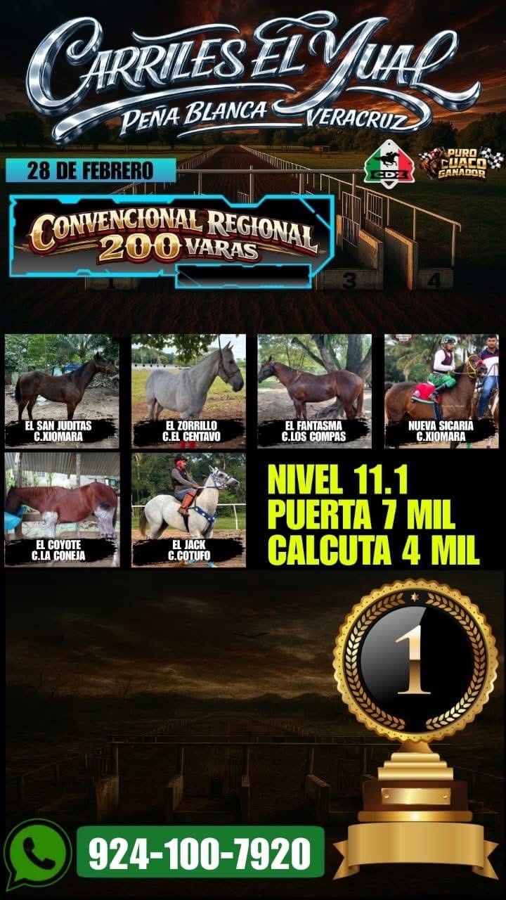 CONVENCIONAL⚡️🏇
