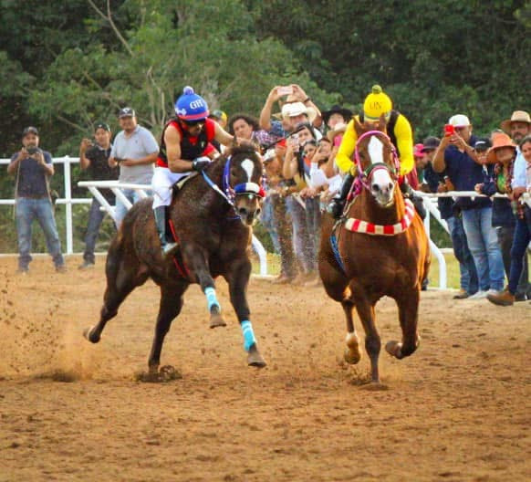 HIPICO EL TREBOL's image