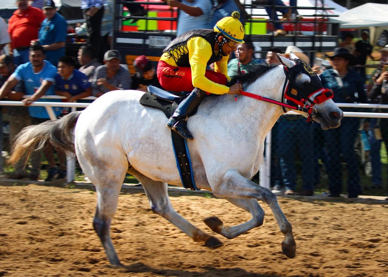 HIPICO EL TREBOL's image