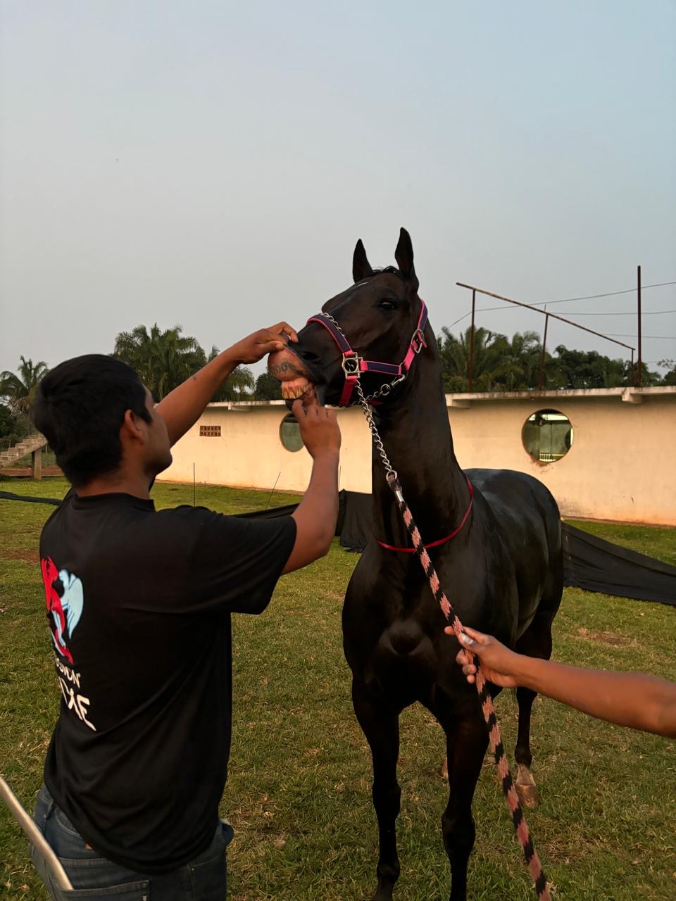 HIPICO EL TREBOL's image