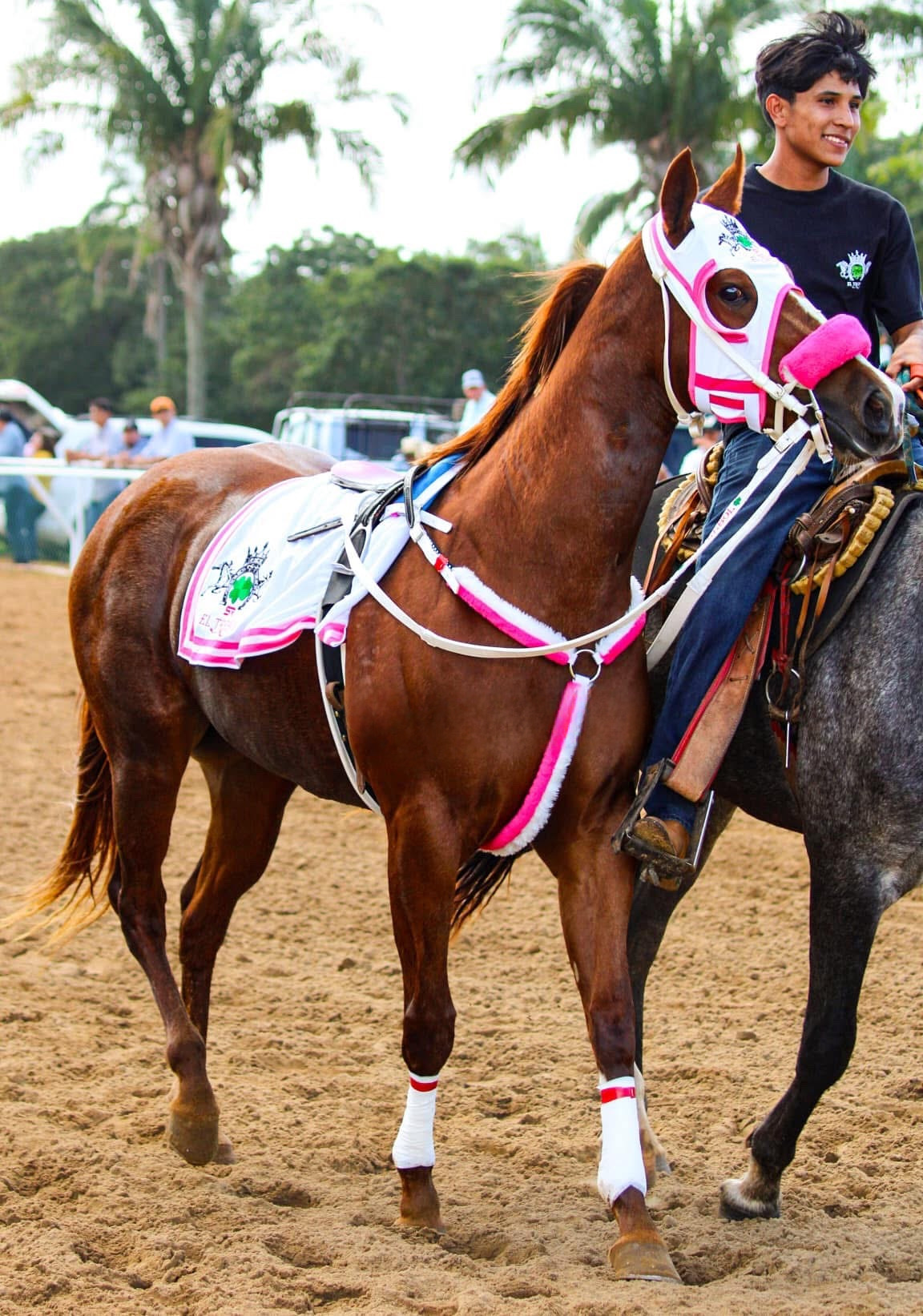 HIPICO EL TREBOL's image