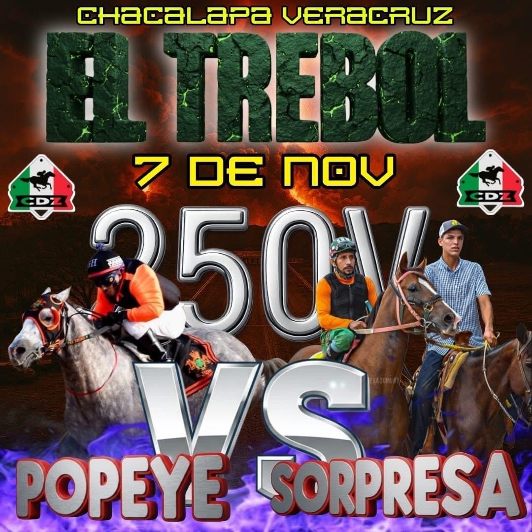 HIPICO EL TREBOL's image
