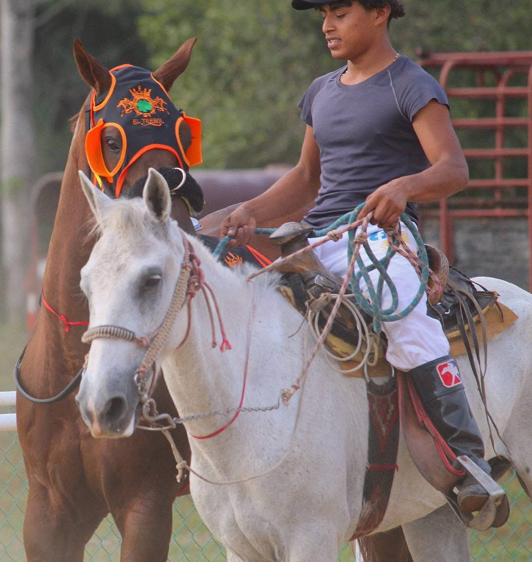 HIPICO EL TREBOL's image