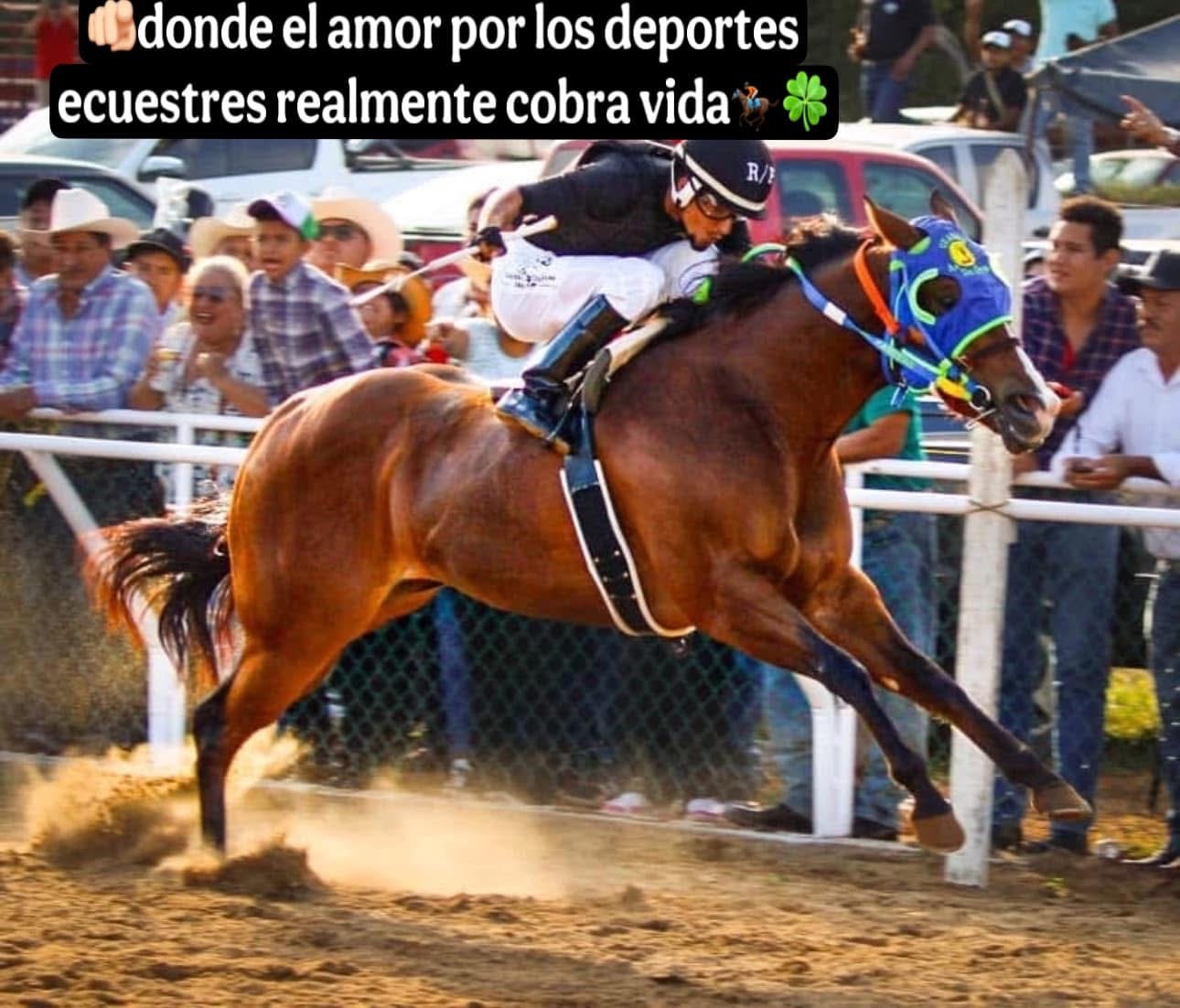 HIPICO EL TREBOL's image