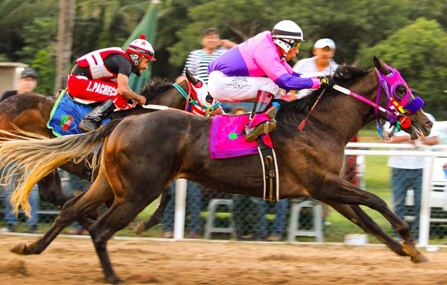 HIPICO EL TREBOL's image