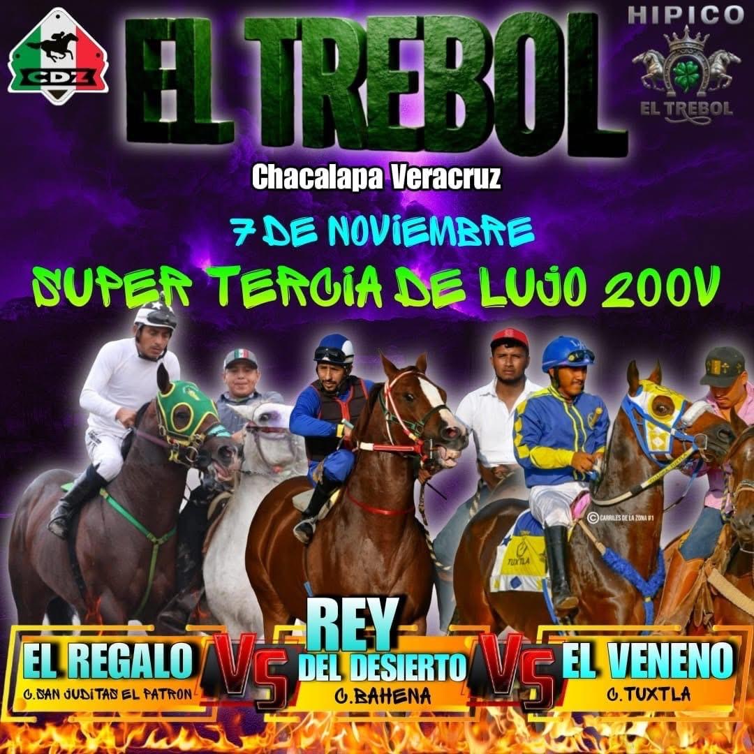 HIPICO EL TREBOL's image