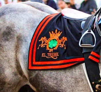 HIPICO EL TREBOL's image