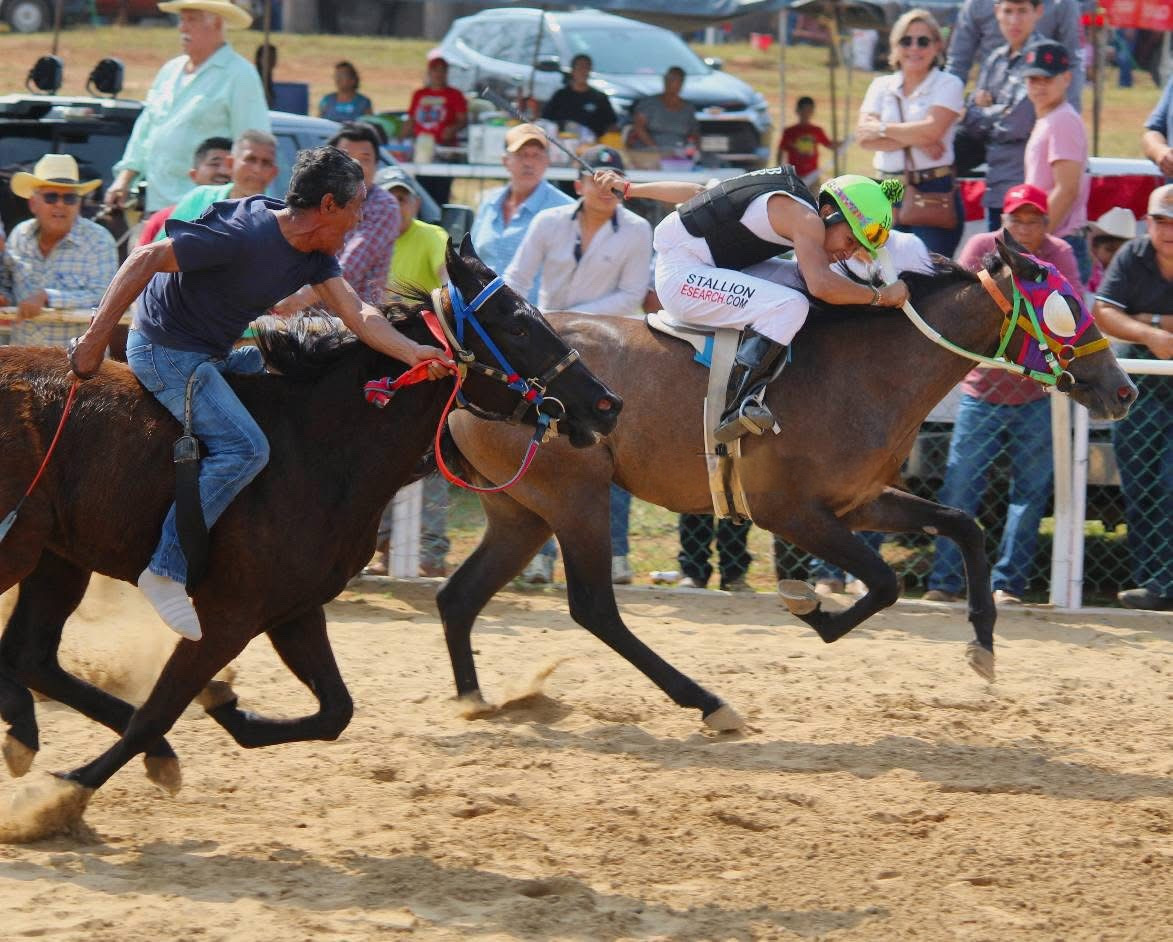 HIPICO EL TREBOL's image