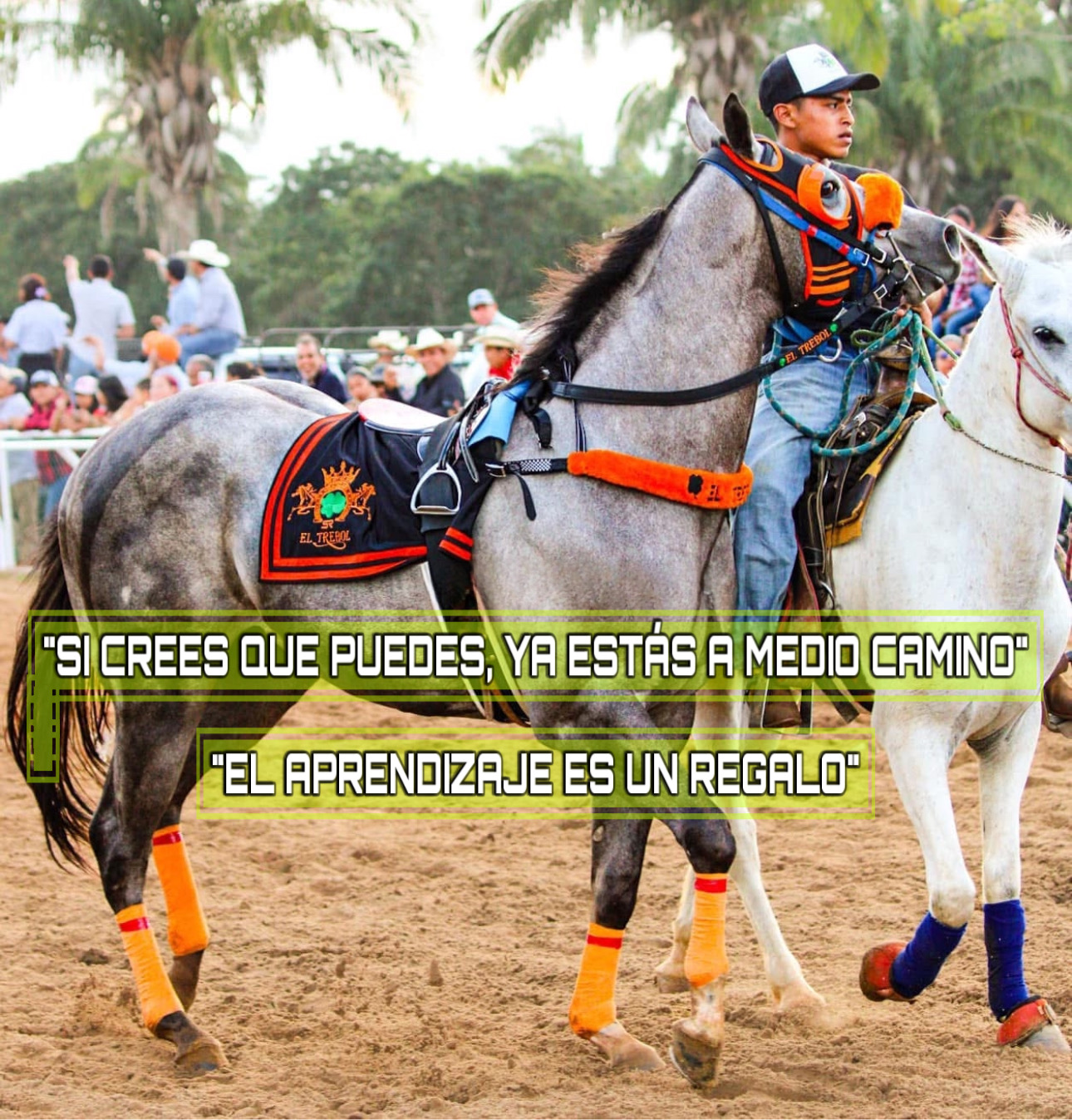 HIPICO EL TREBOL's image