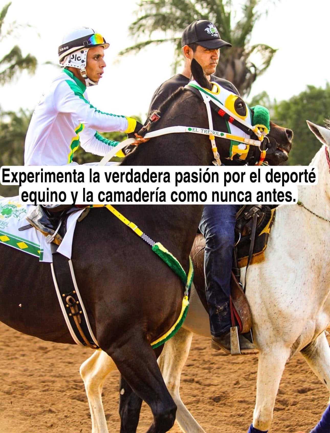 HIPICO EL TREBOL's image