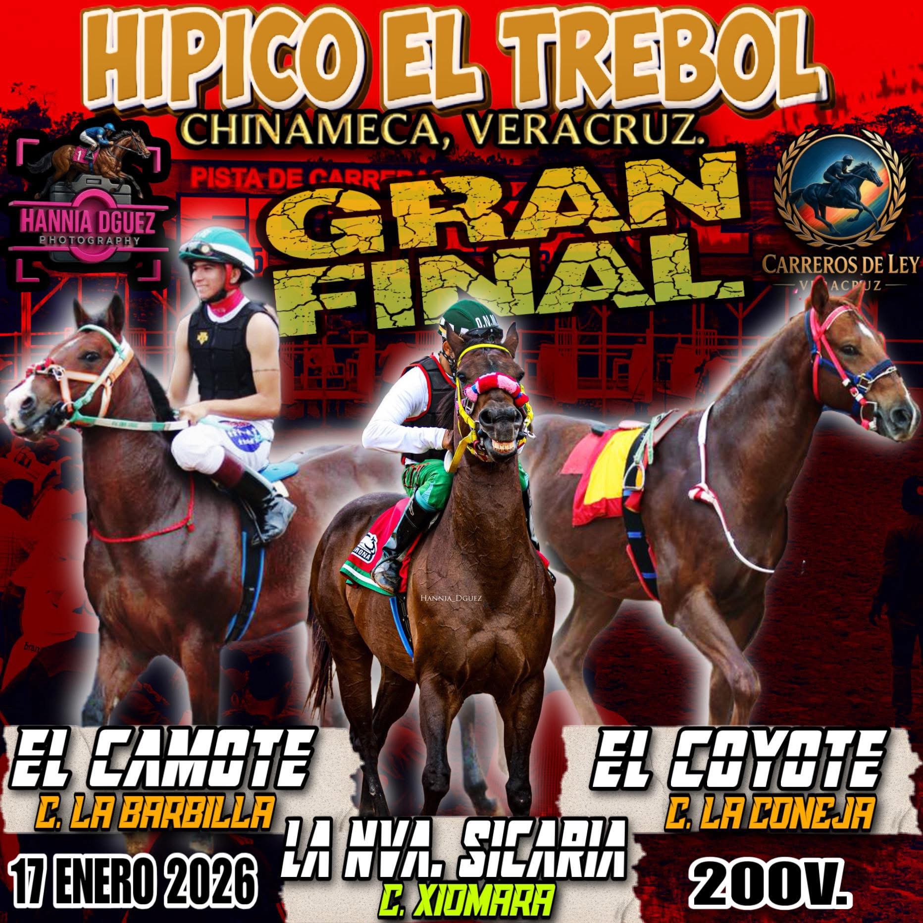 📍🍀🔝CAMOTE VS NVA SICARIA VS COYOTE