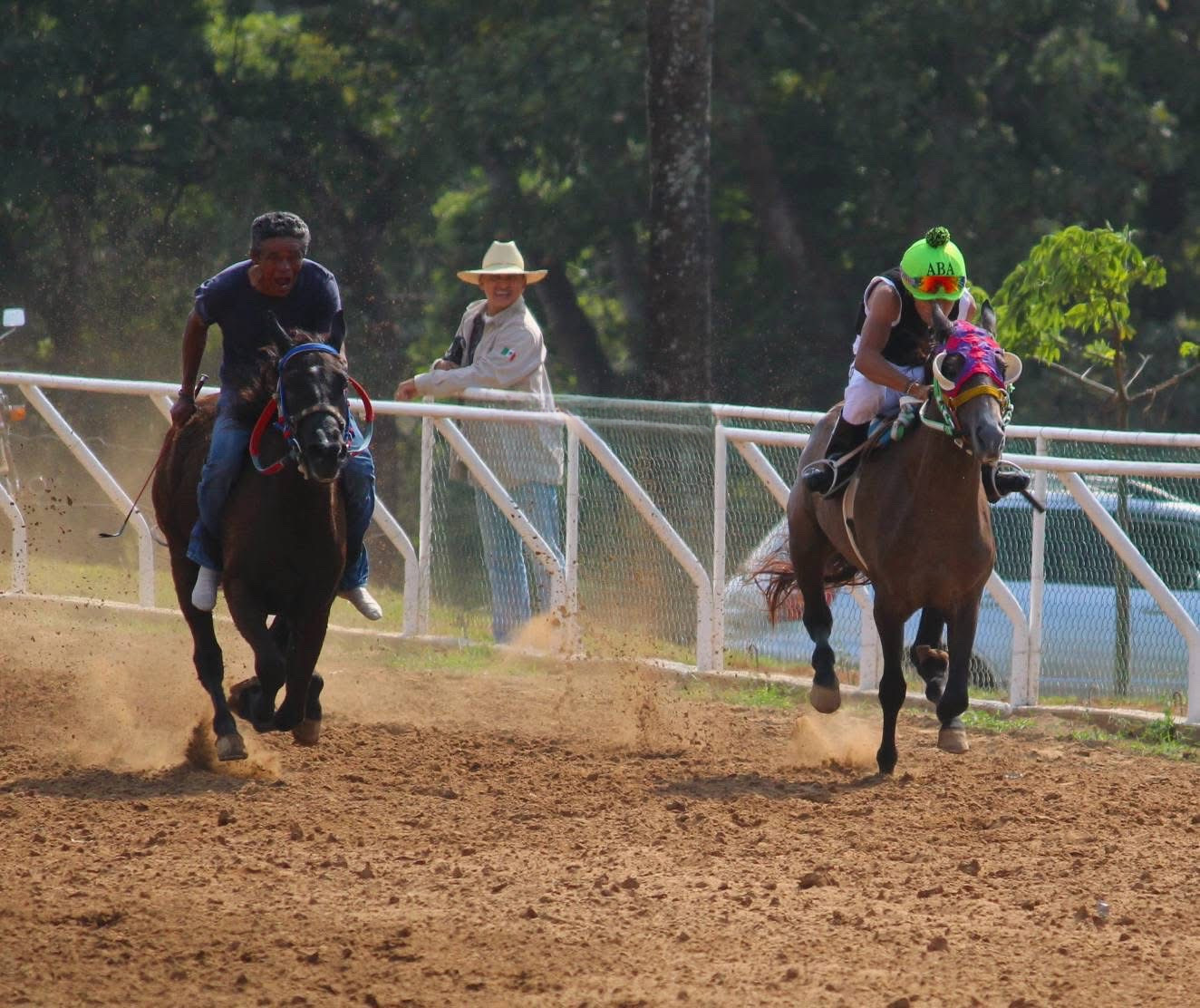 HIPICO EL TREBOL's image