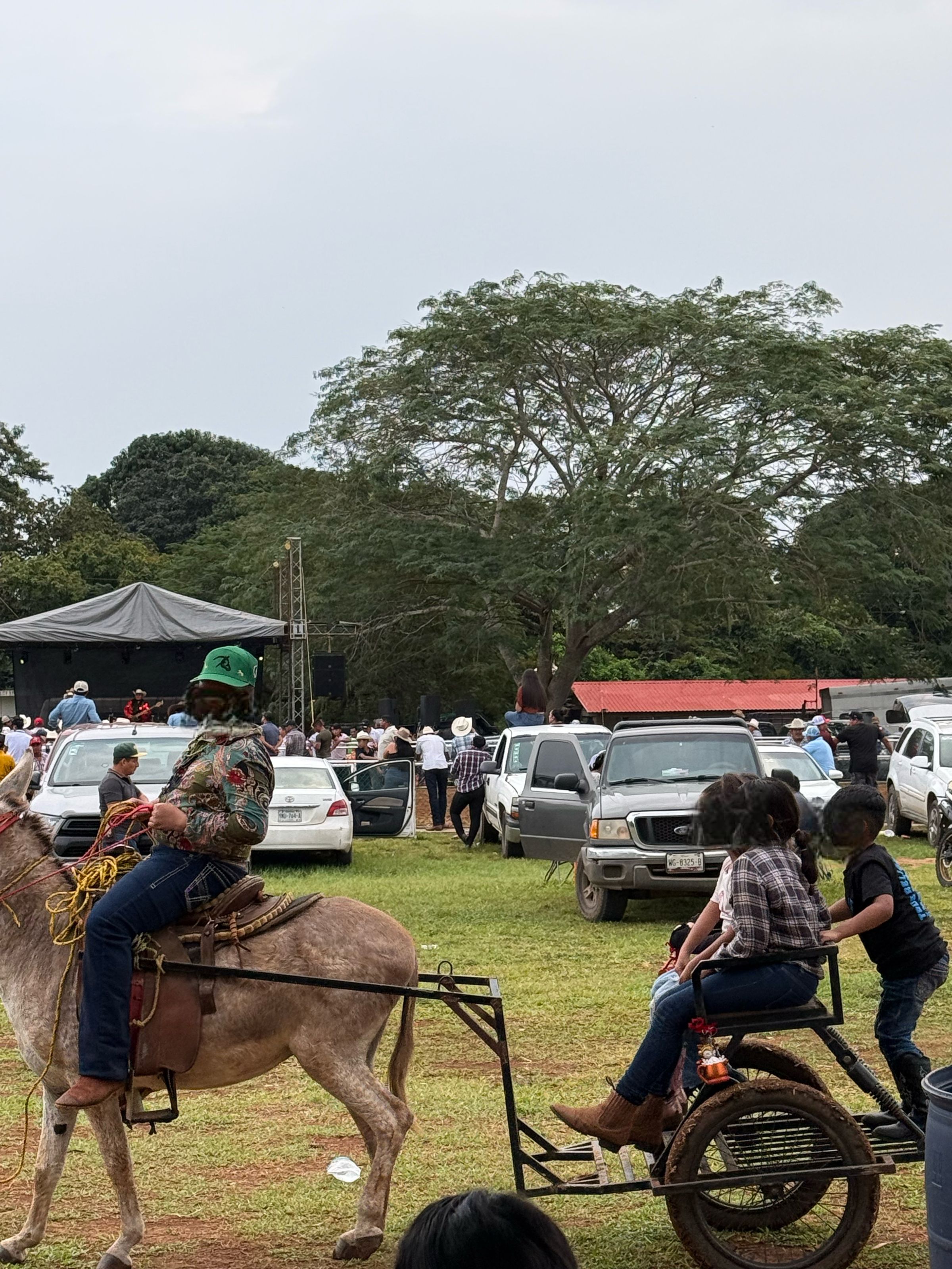 📸🍀PASEO EN BURRARI📍🍀