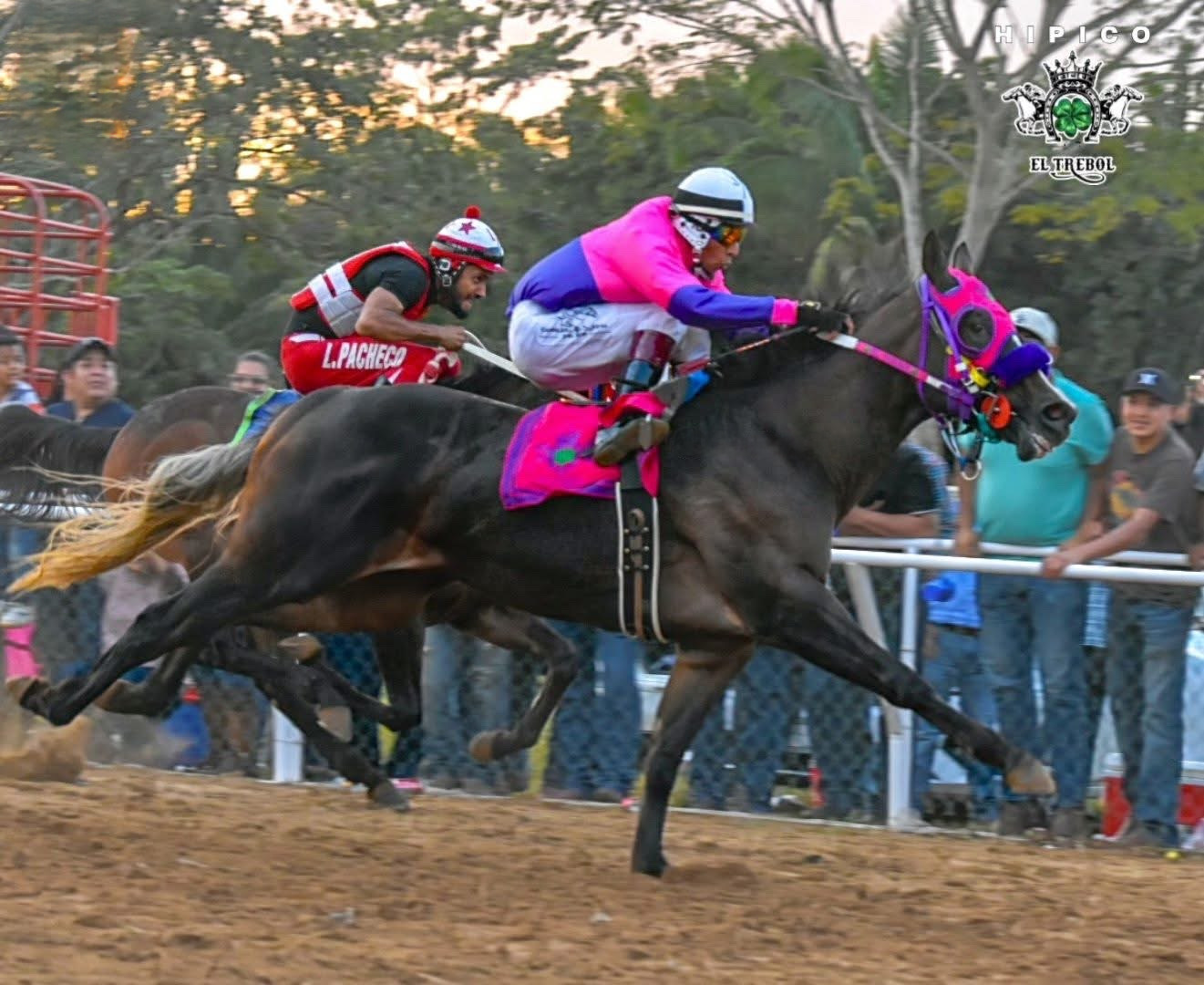 HIPICO EL TREBOL's image