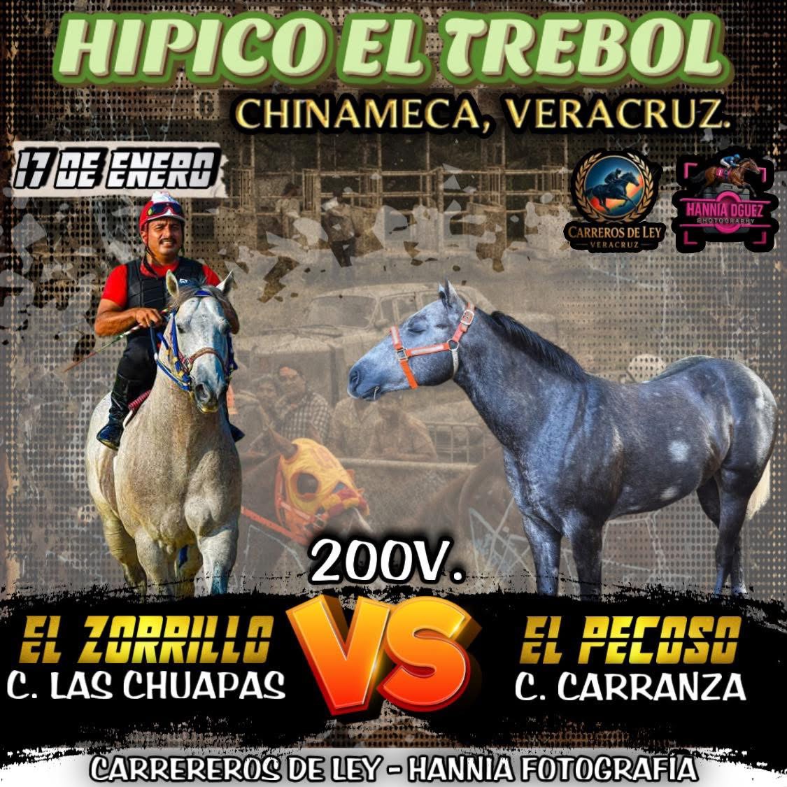 🍀ZORRILLO VS PECOSO🔝🏇