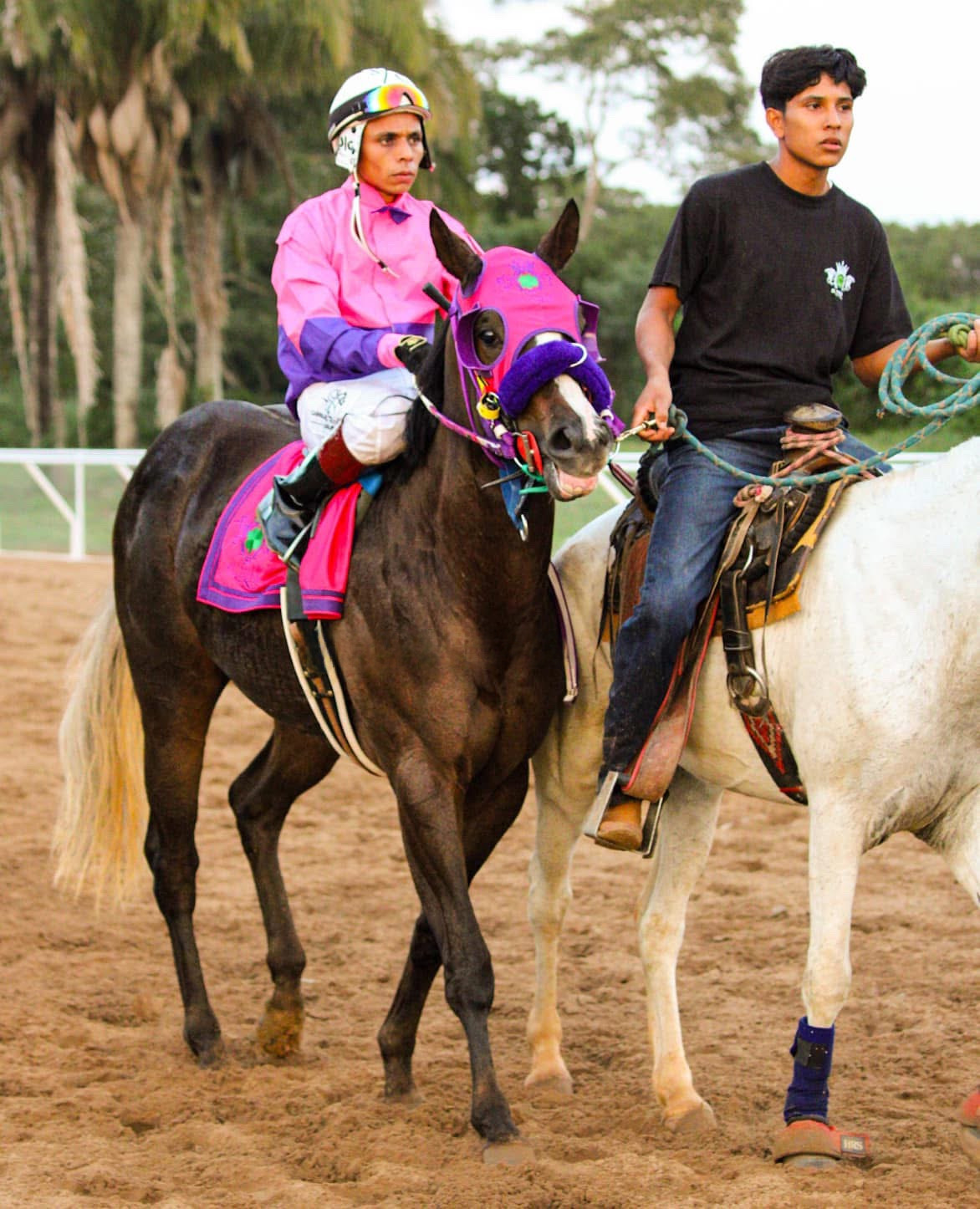 HIPICO EL TREBOL's image