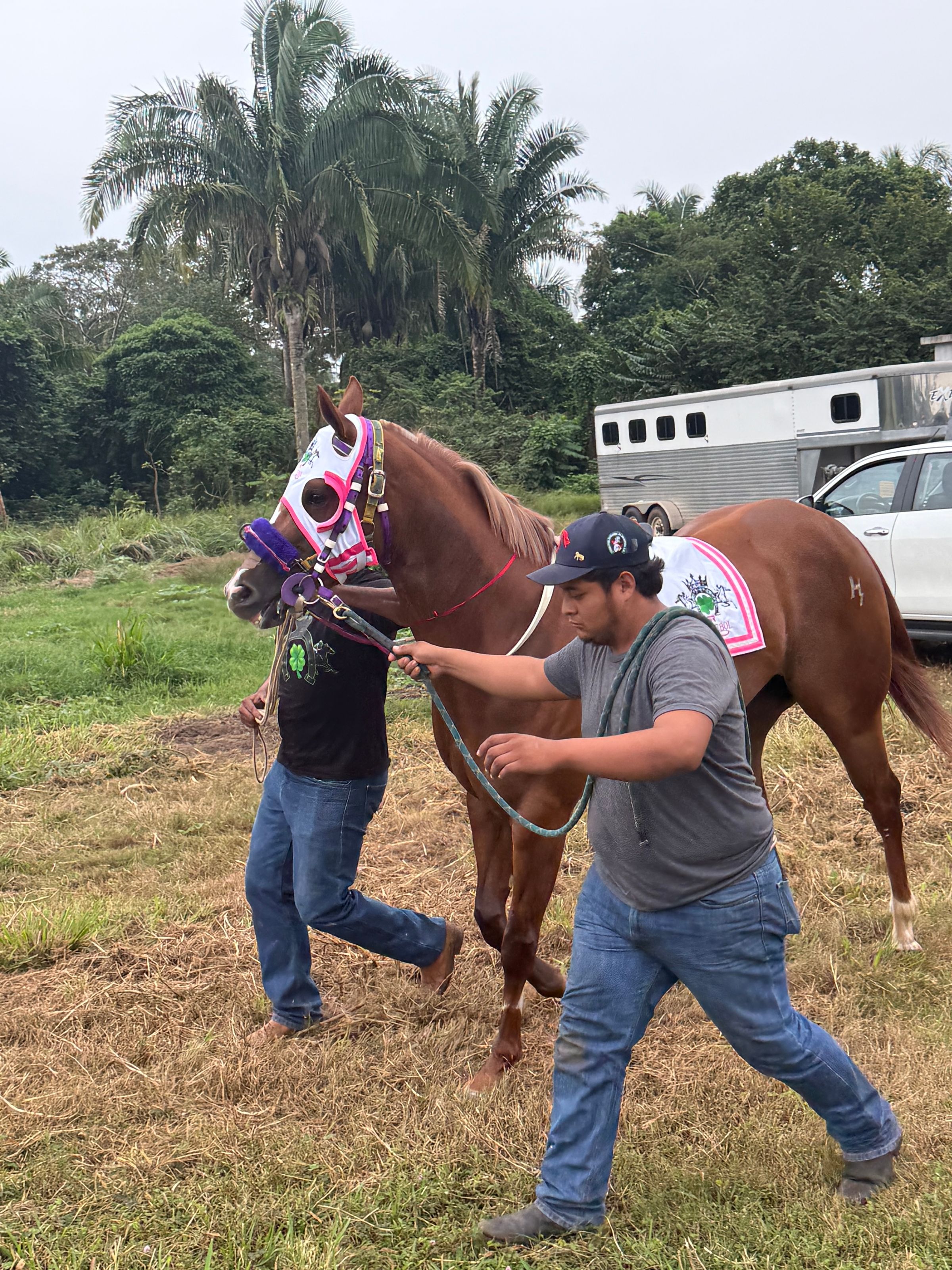 🎶🍀BARBIE EN SU HOGAR🏇🍀📍