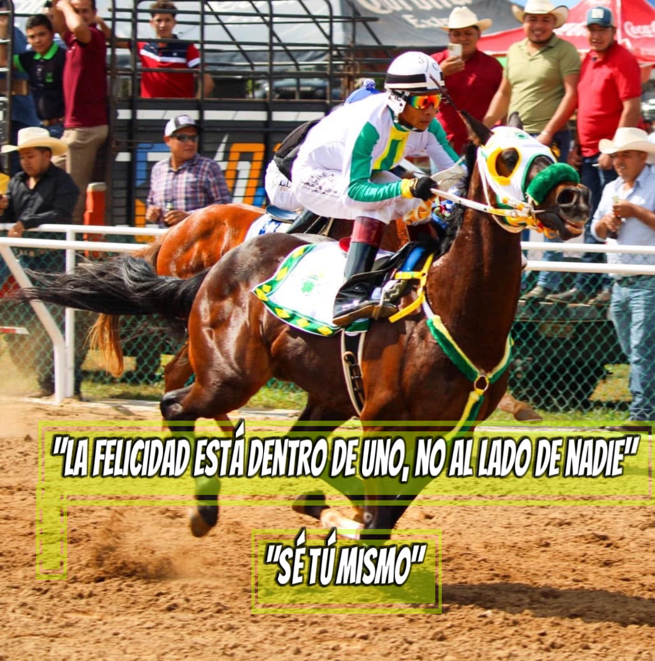 HIPICO EL TREBOL's image