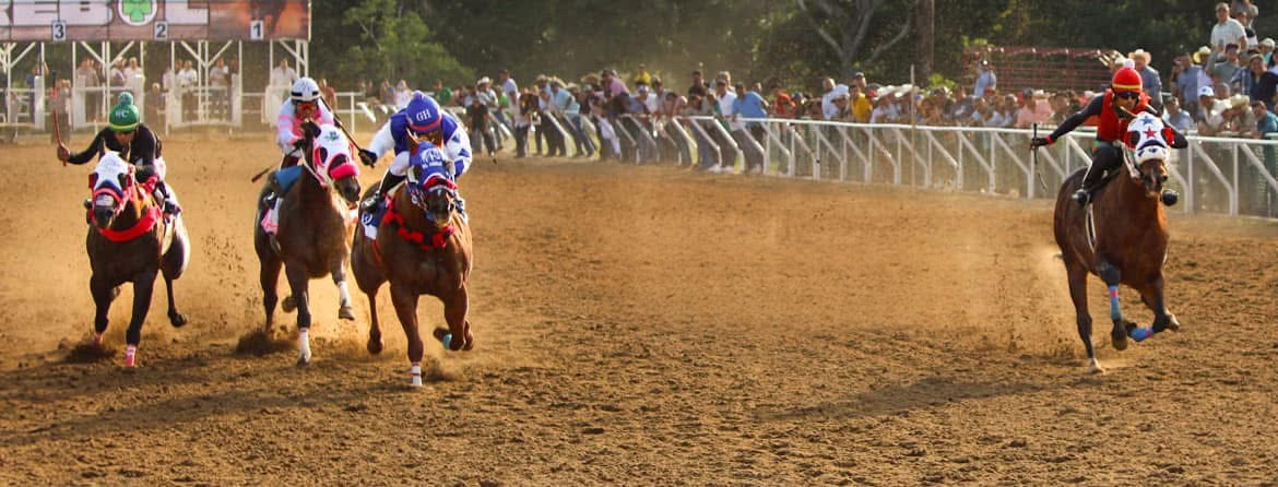 HIPICO EL TREBOL's image