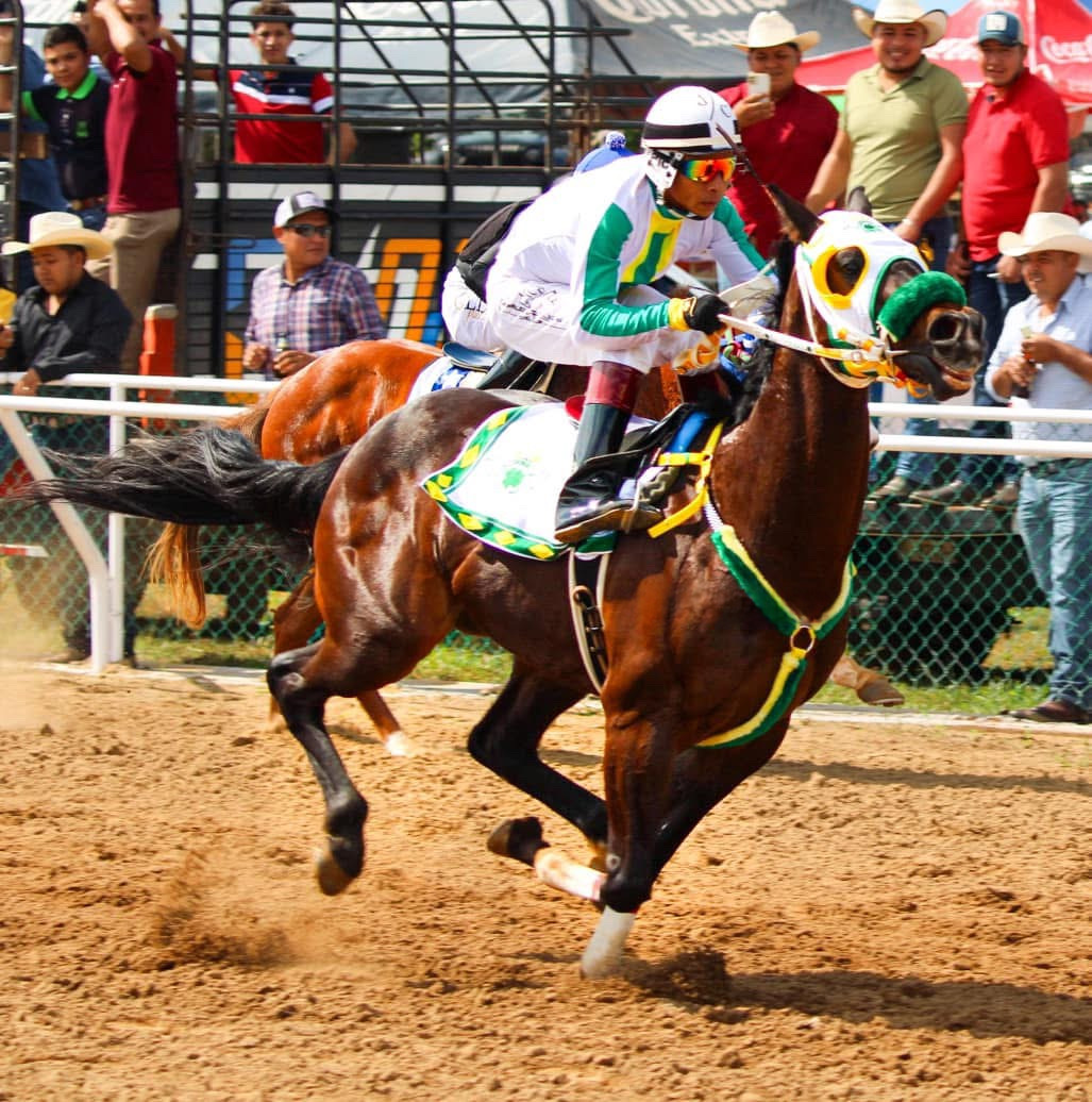 🫡SARGENTO EN SU HOGAR📍📸
