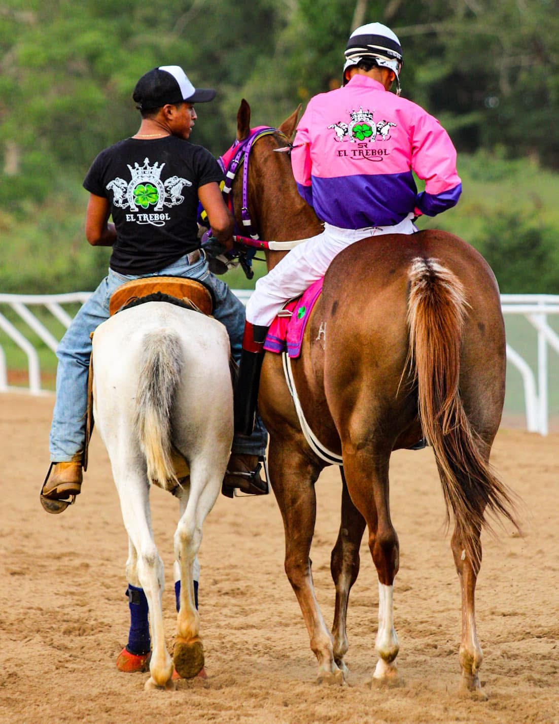 HIPICO EL TREBOL's image