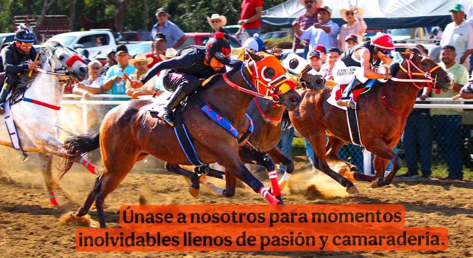 HIPICO EL TREBOL's image