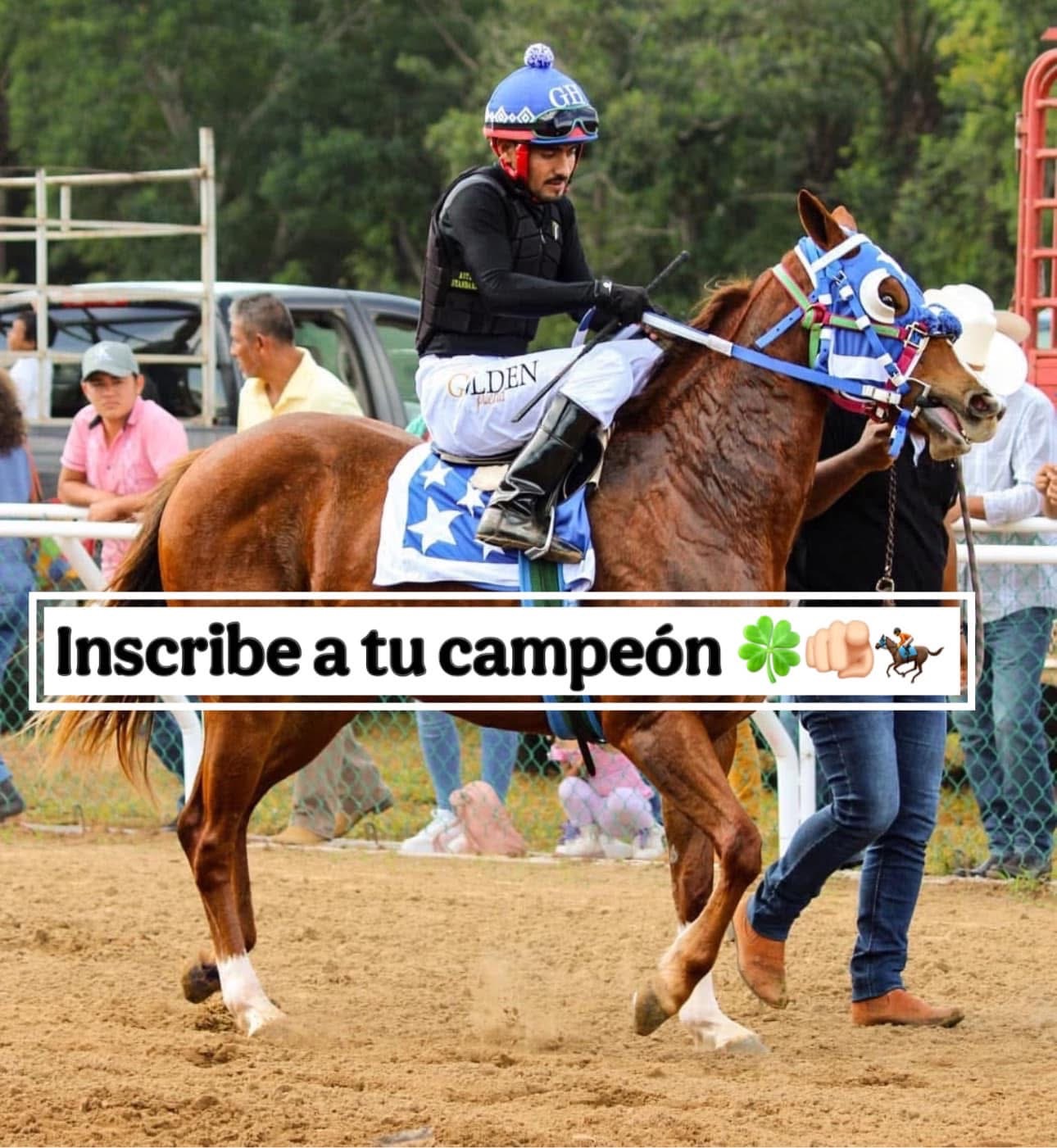 HIPICO EL TREBOL's image