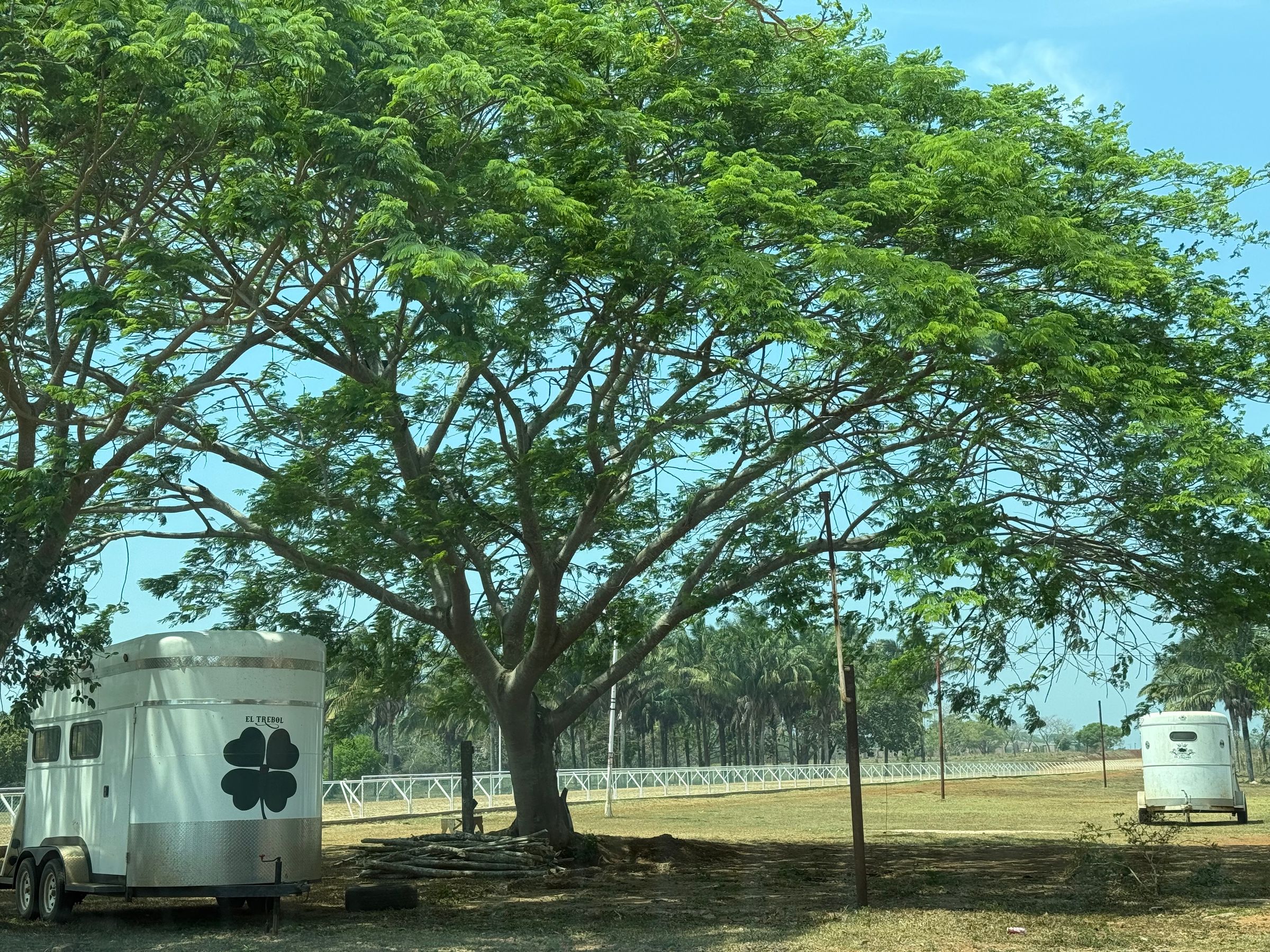 HIPICO EL TREBOL's image