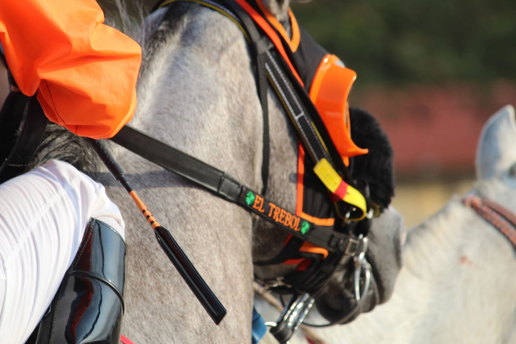 HIPICO EL TREBOL's image