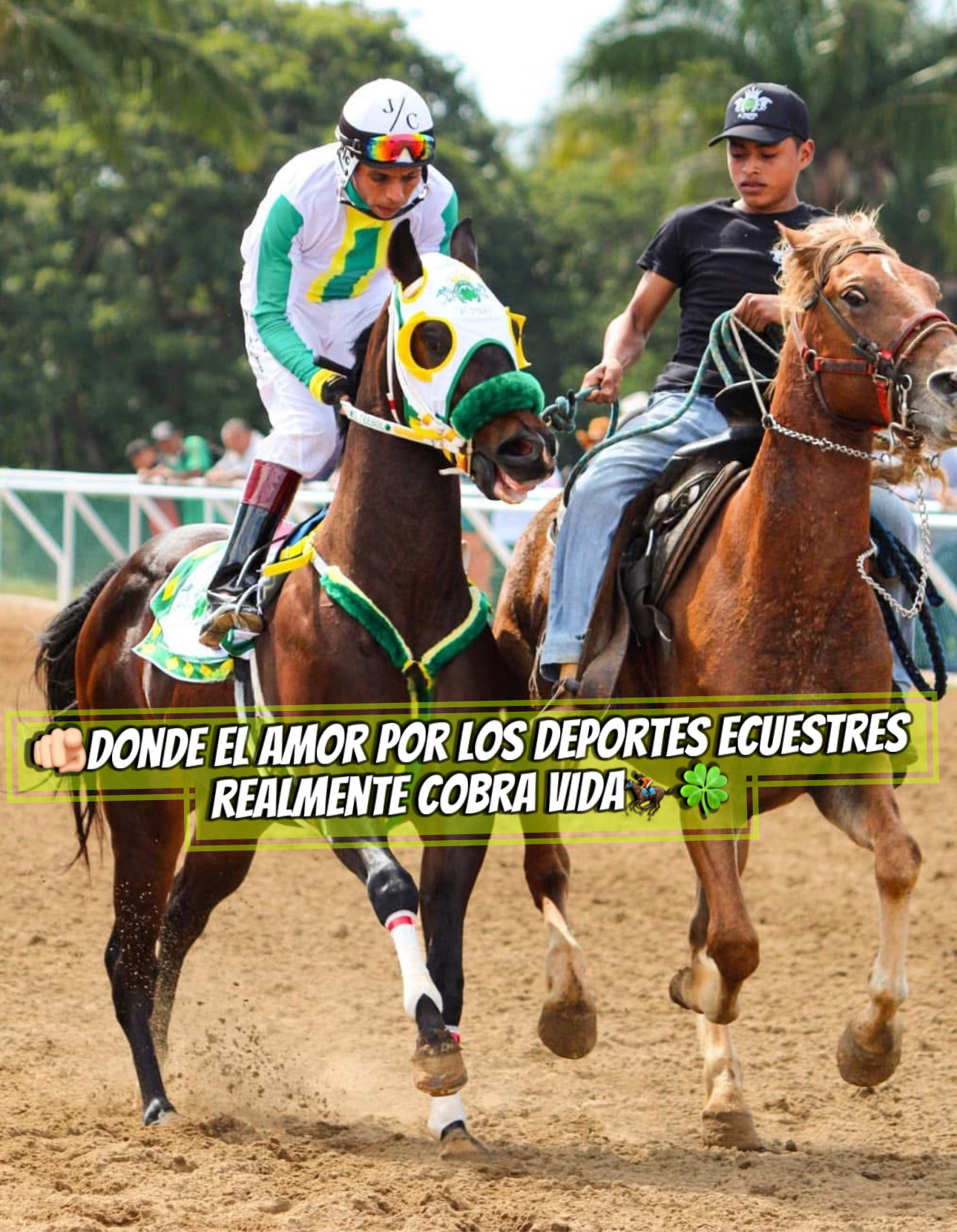 HIPICO EL TREBOL's image