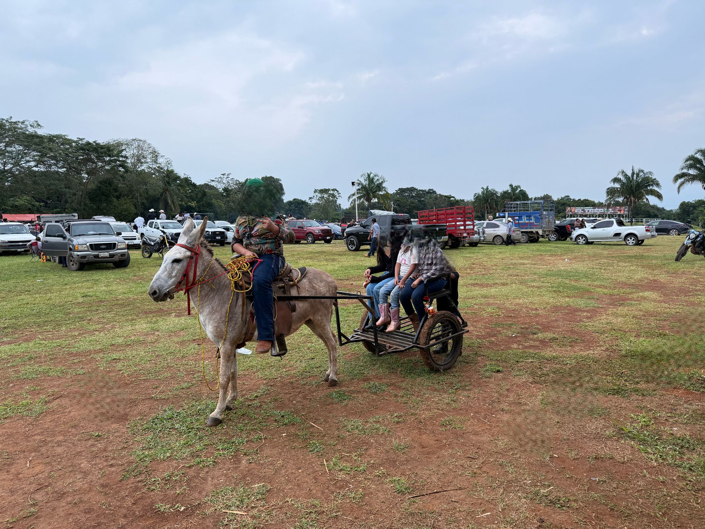 📸PASEO EN BURRARI🎄📍🍀