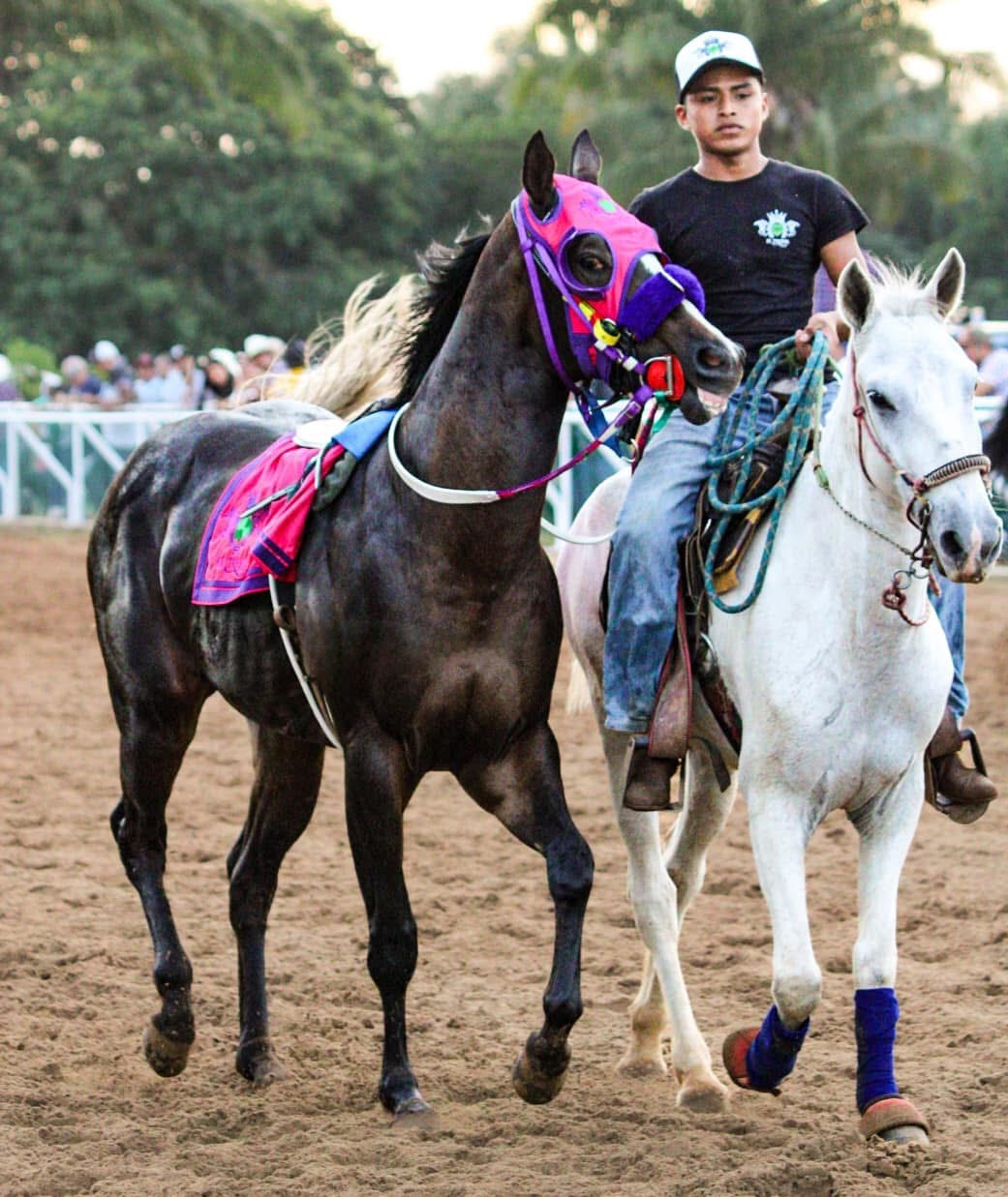 HIPICO EL TREBOL's image