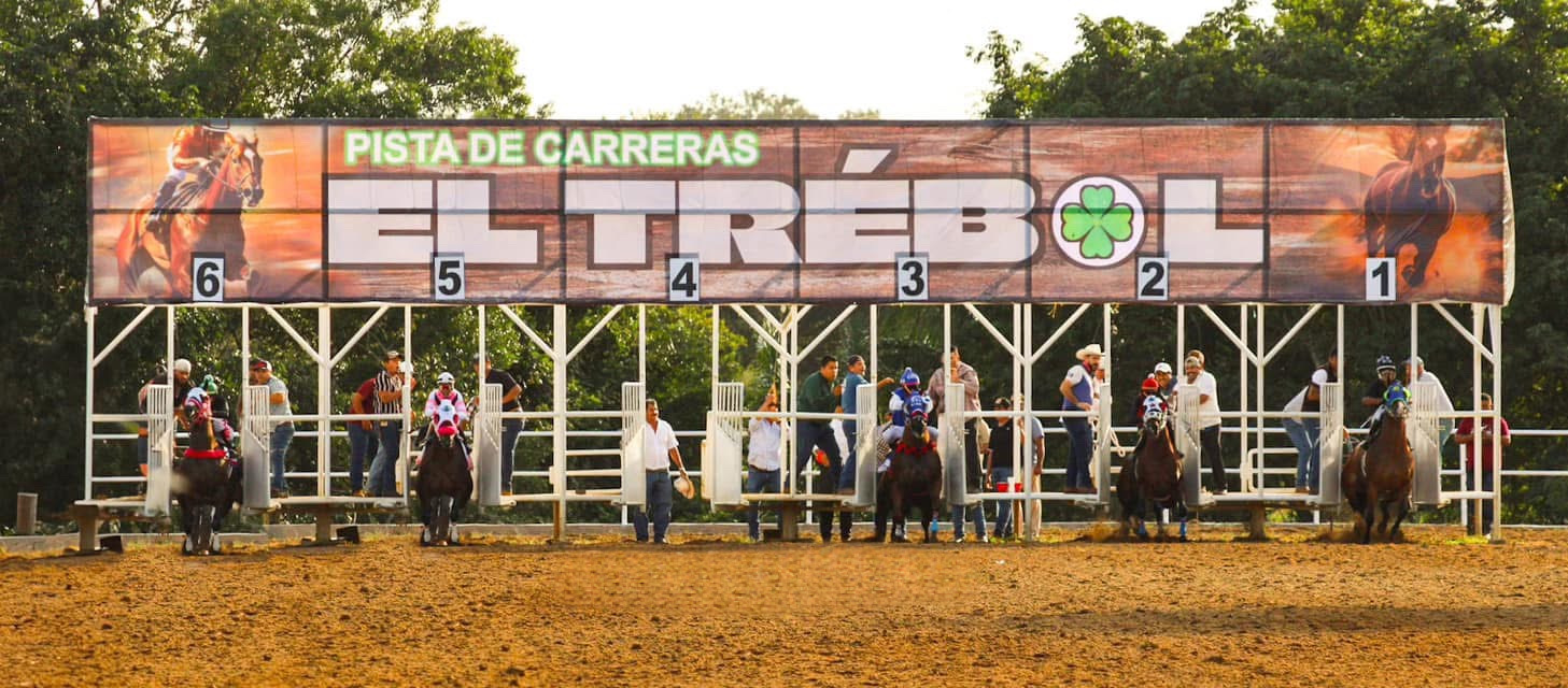 HIPICO EL TREBOL's image