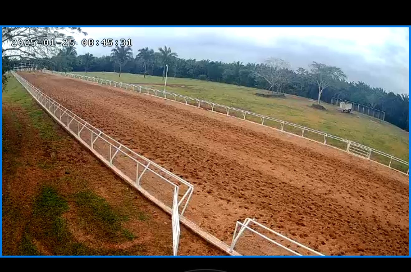 HIPICO EL TREBOL's image