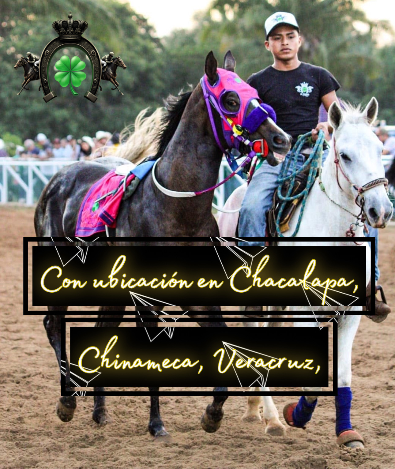 HIPICO EL TREBOL's image