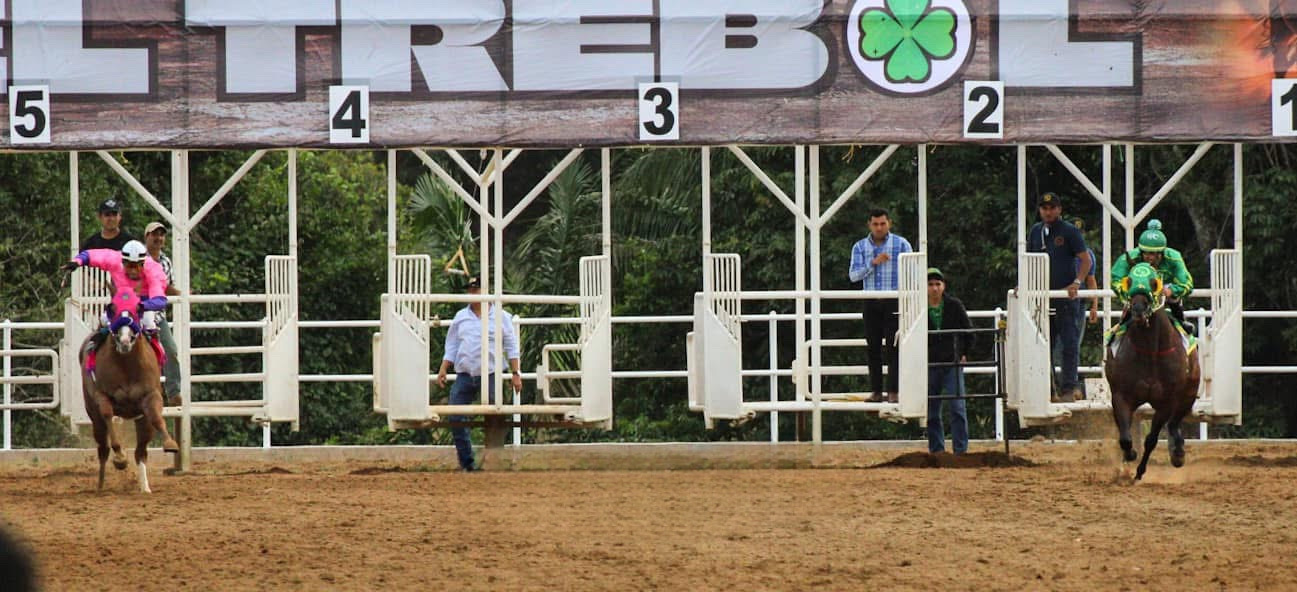 HIPICO EL TREBOL's image