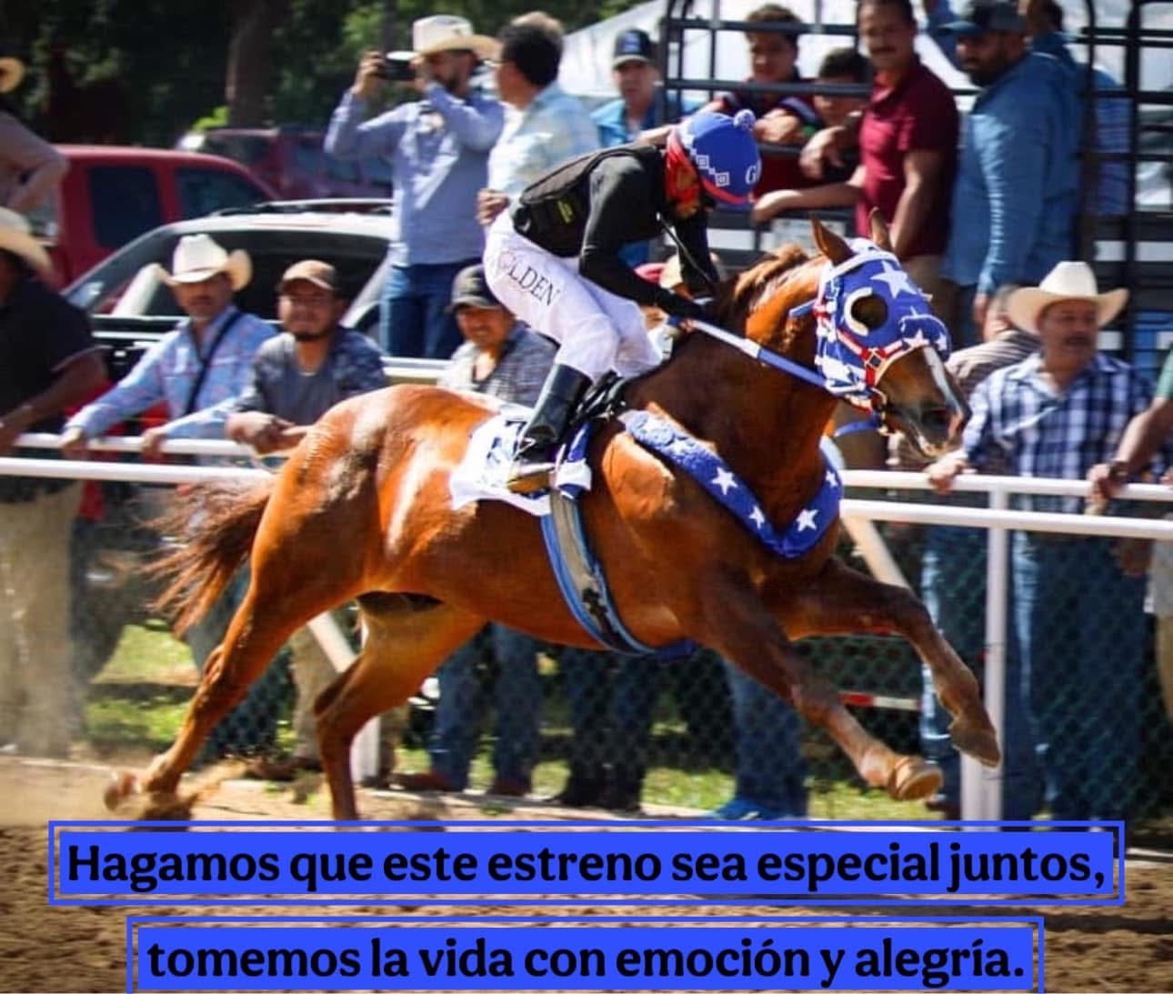 HIPICO EL TREBOL's image