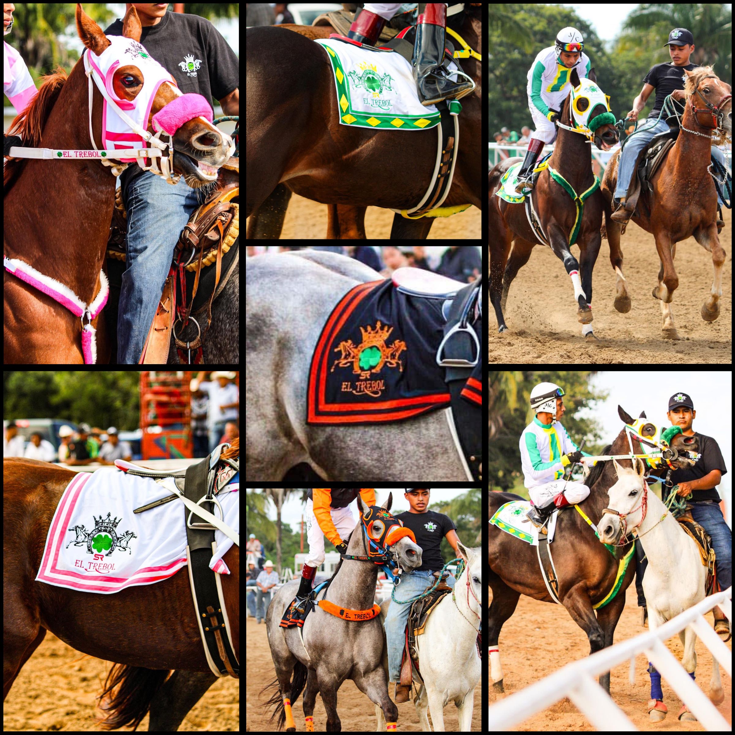 HIPICO EL TREBOL's image