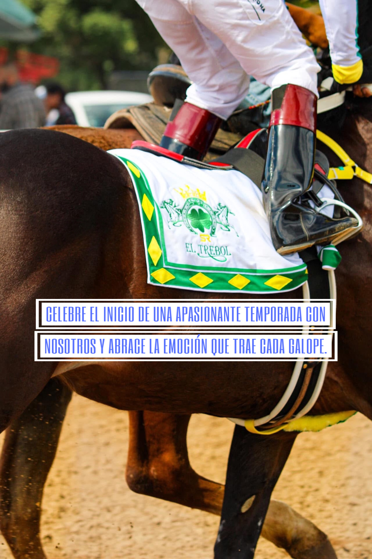 HIPICO EL TREBOL's image