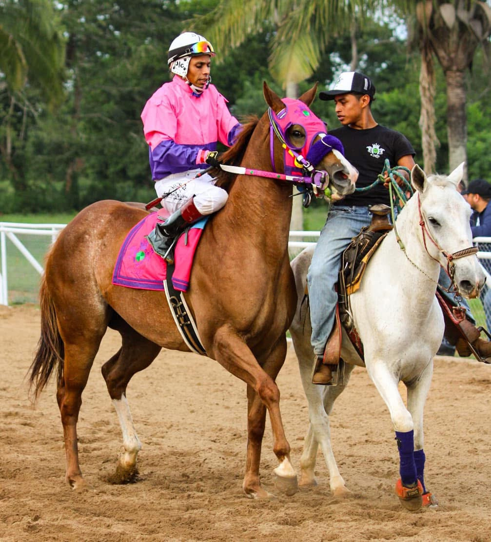 HIPICO EL TREBOL's image