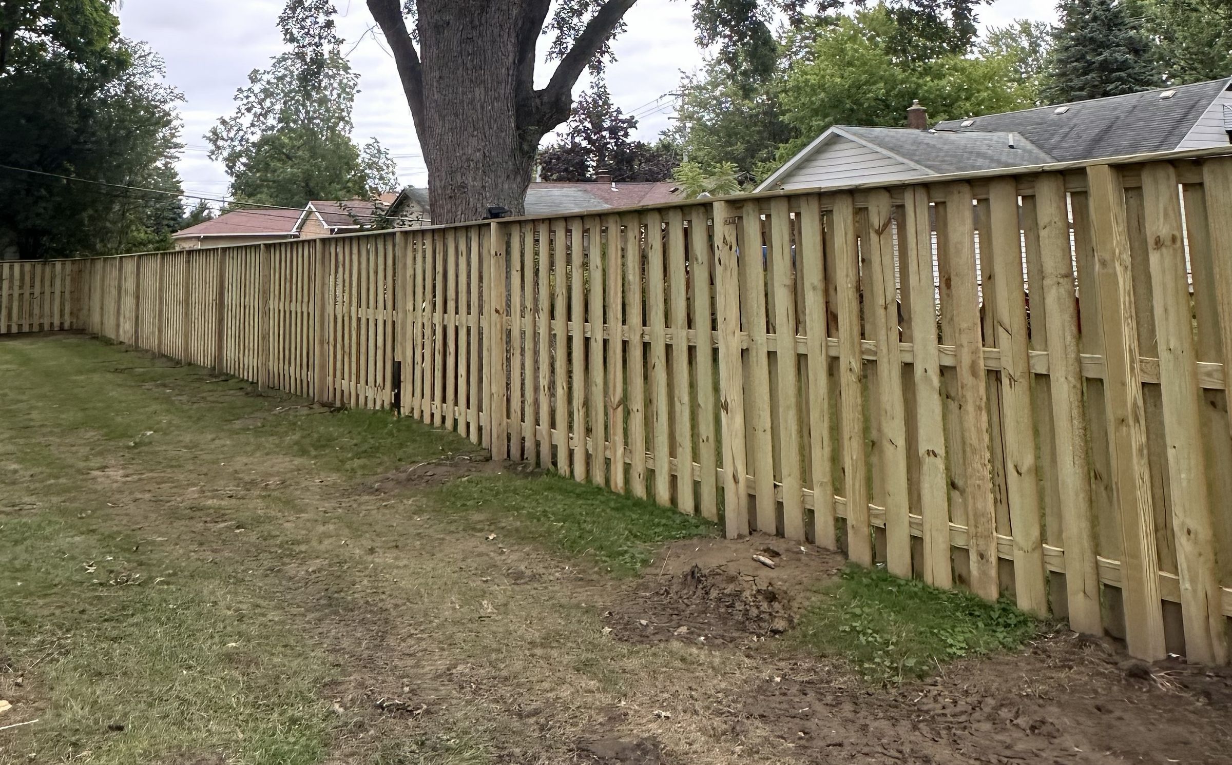 Backyard Builders of Buffalo's image