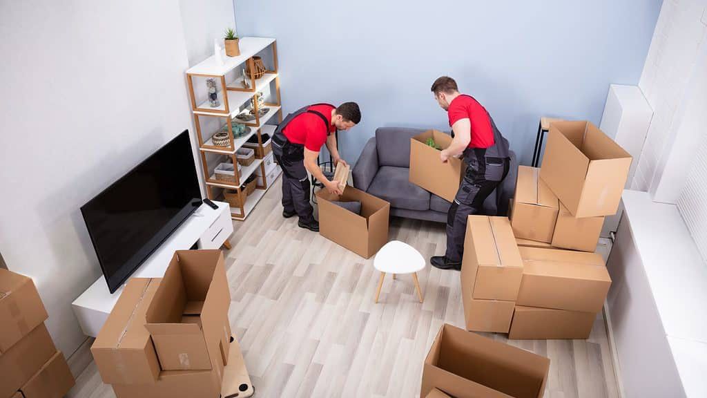 Joy Shipping's image