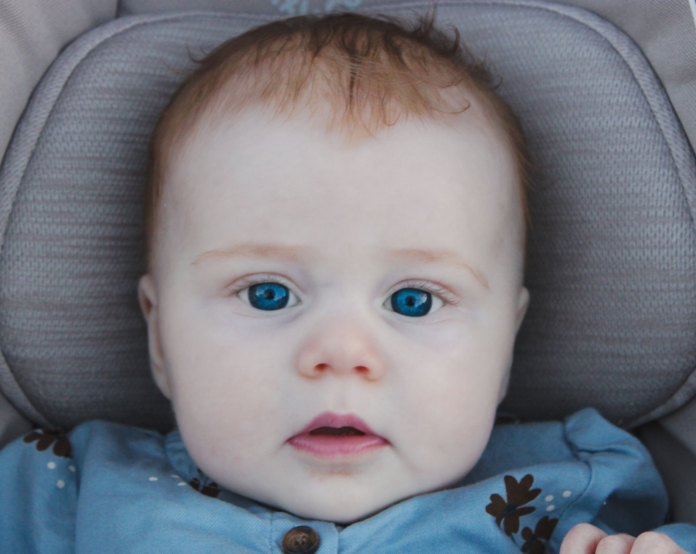 Blissful Beginnings RN Doula's image