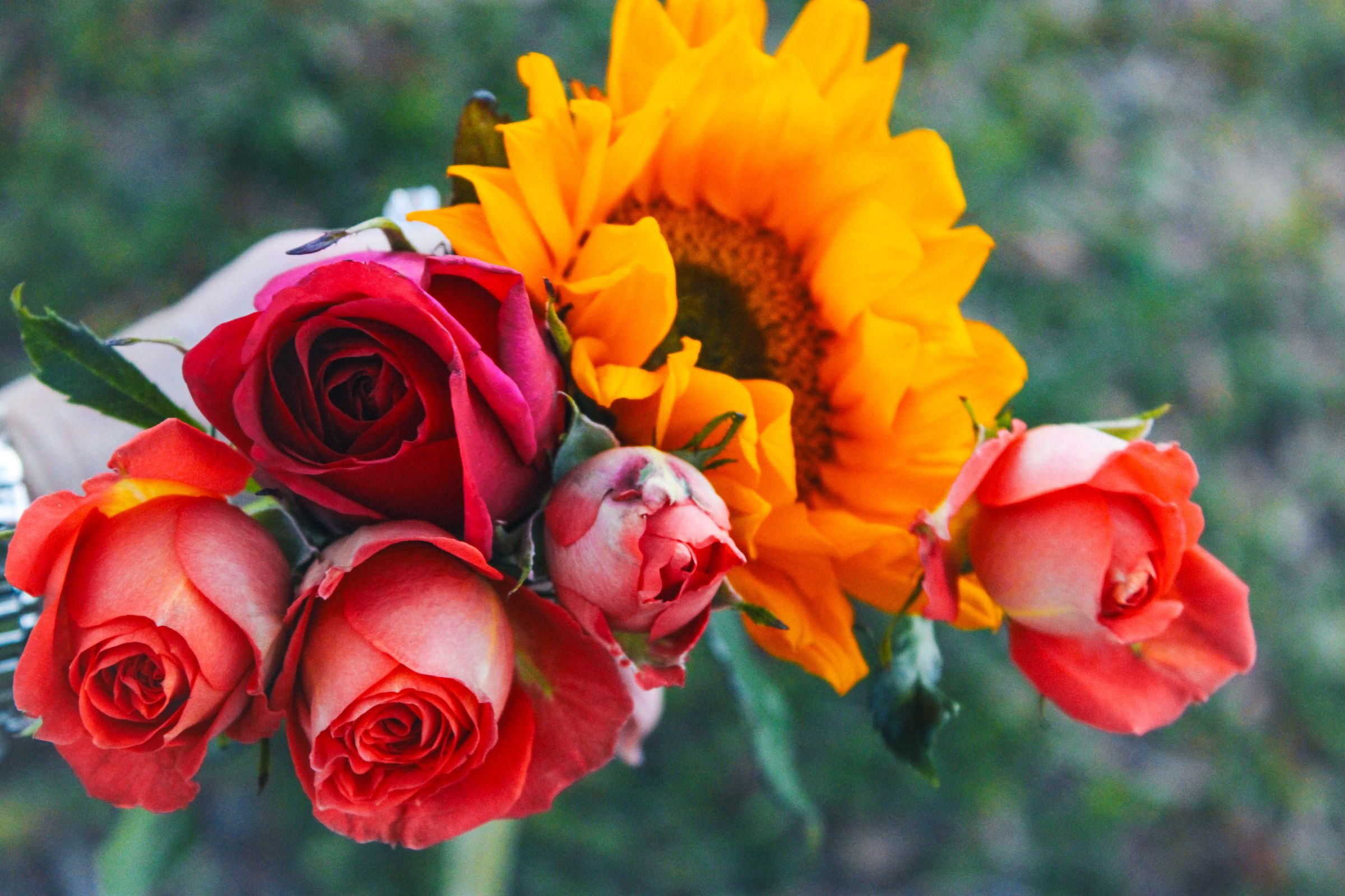 Blissful Beginnings RN Doula's image