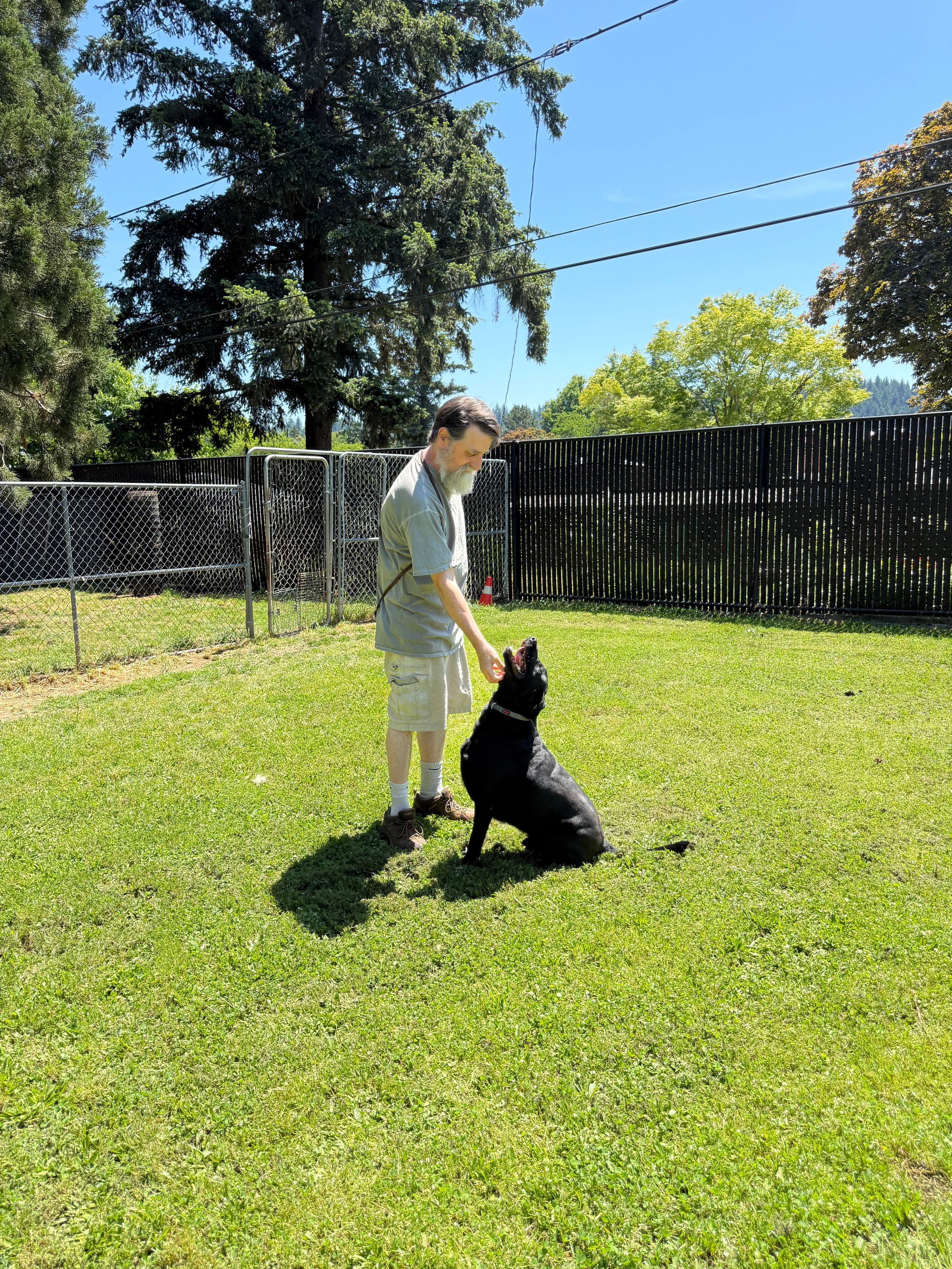 dog-trainer