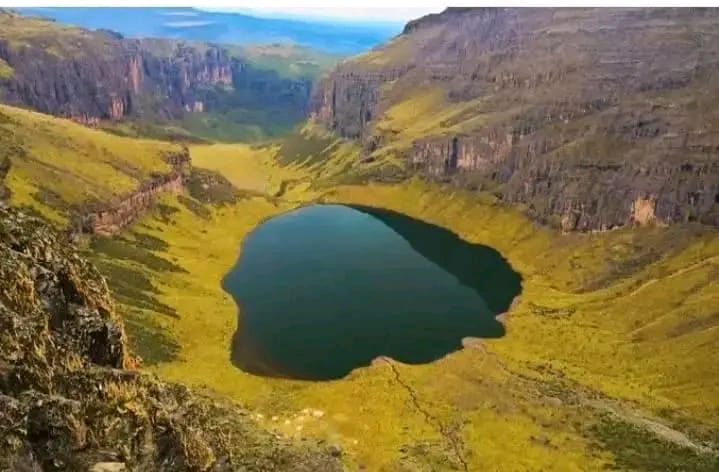 BlueZoneKenya Health Wellness Recovery Mount Kenya's image