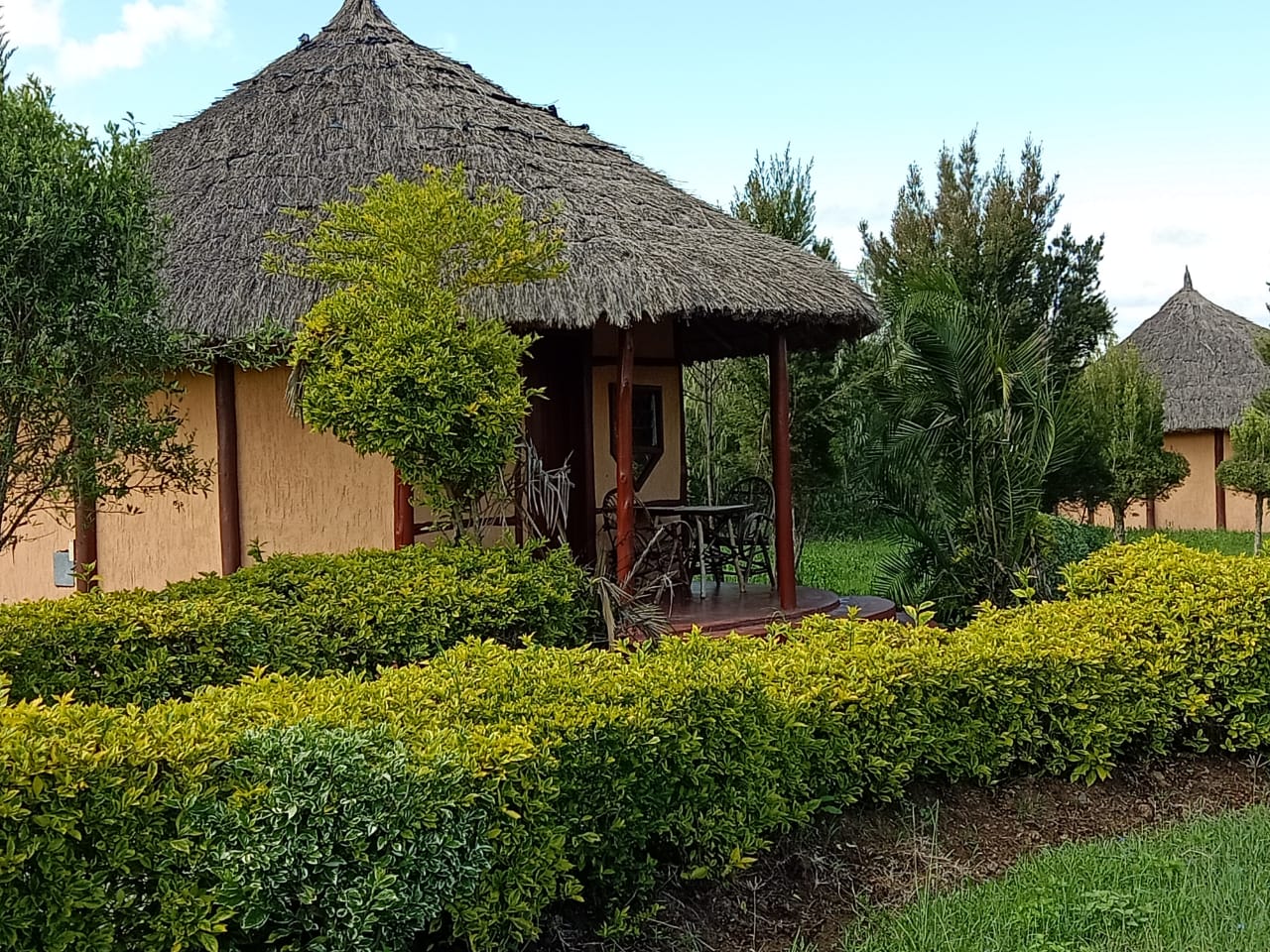BlueZoneKenya Health Wellness Recovery Mount Kenya's image